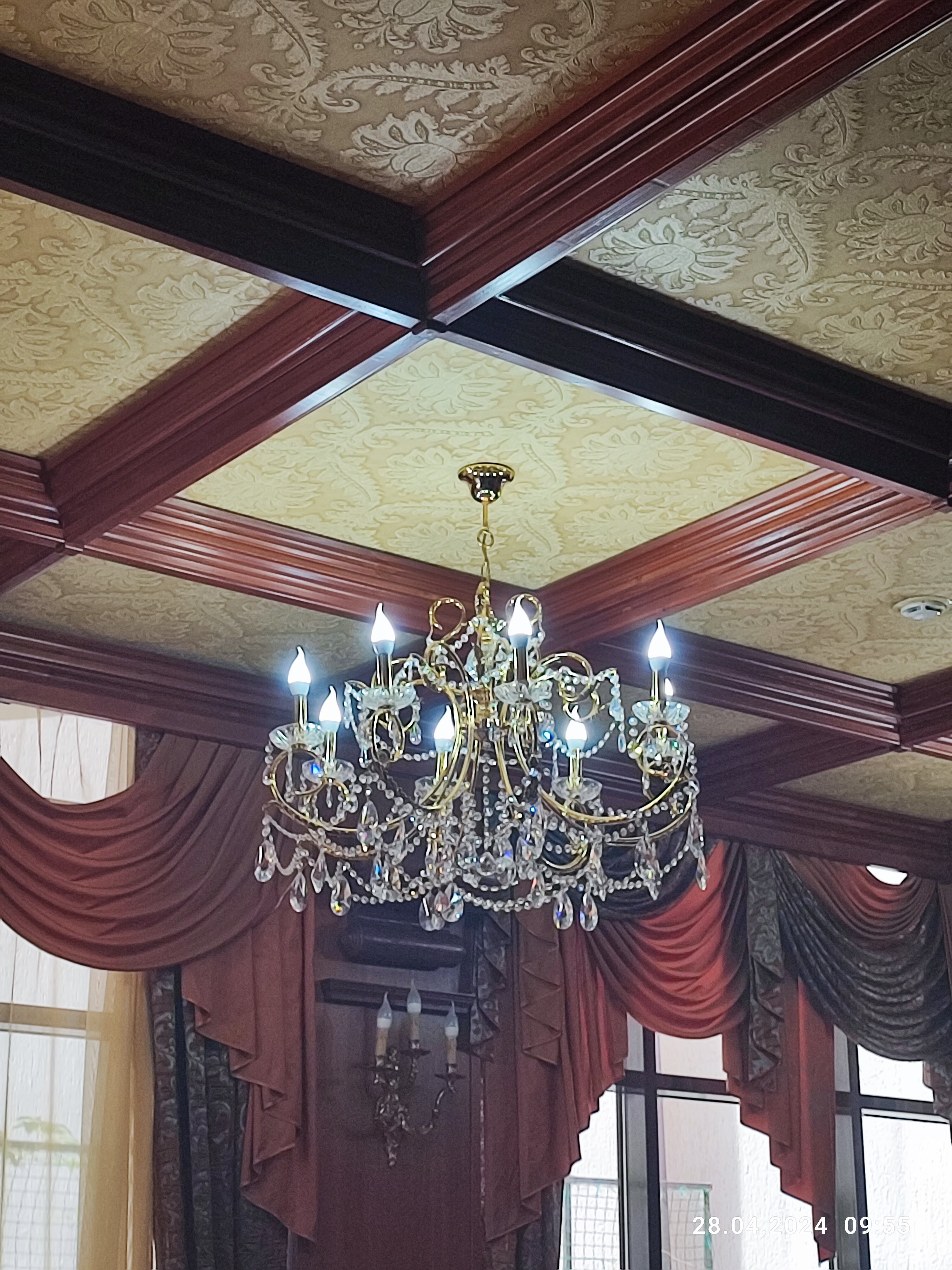 Фото Барракуда