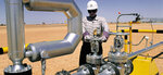 Technoserve (13, Ji'dan Street, Mussafah Community, Mohamed Bin Zayed City, Abu Dhabi), recruitment agencies, vacancies