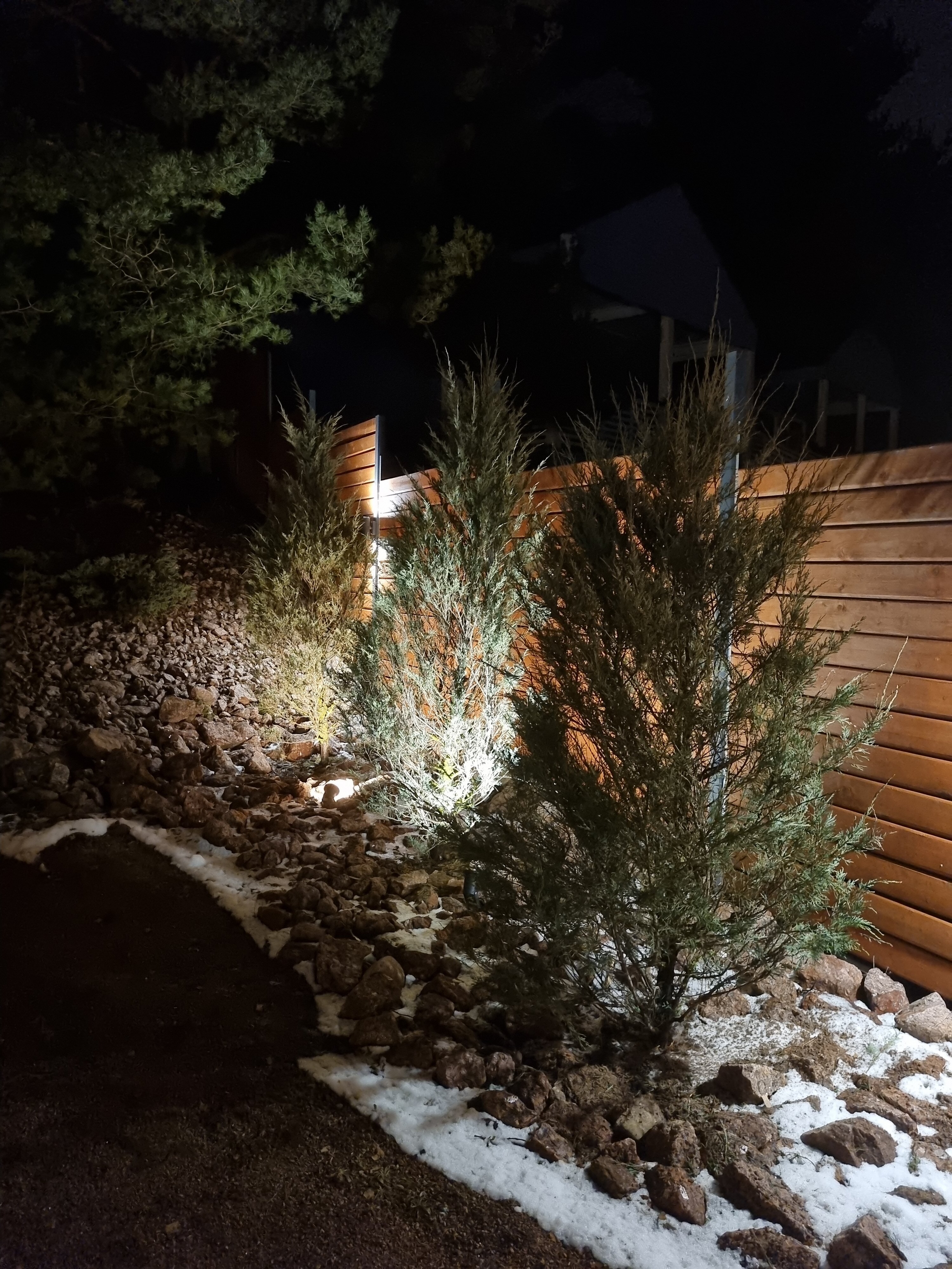 Фото Дом студия Forest deer