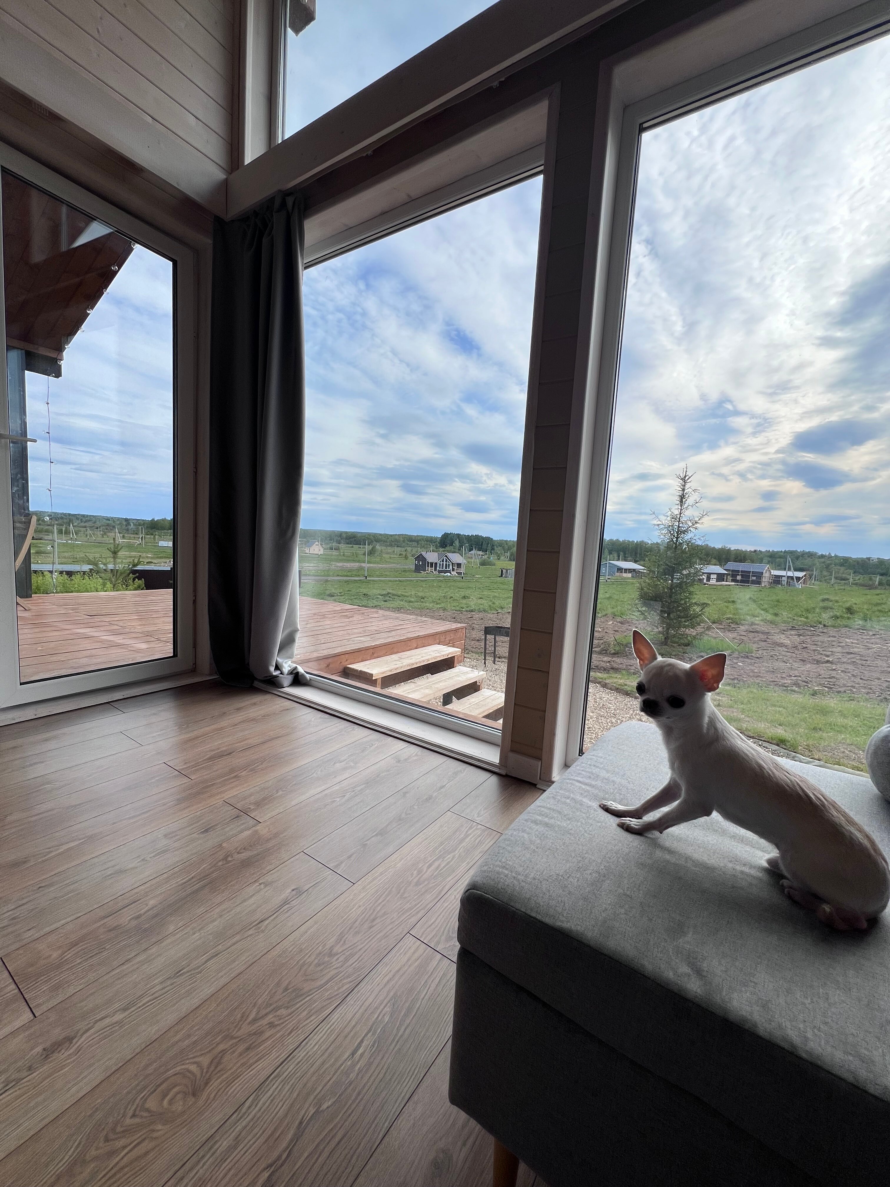 Фото Якунино дача