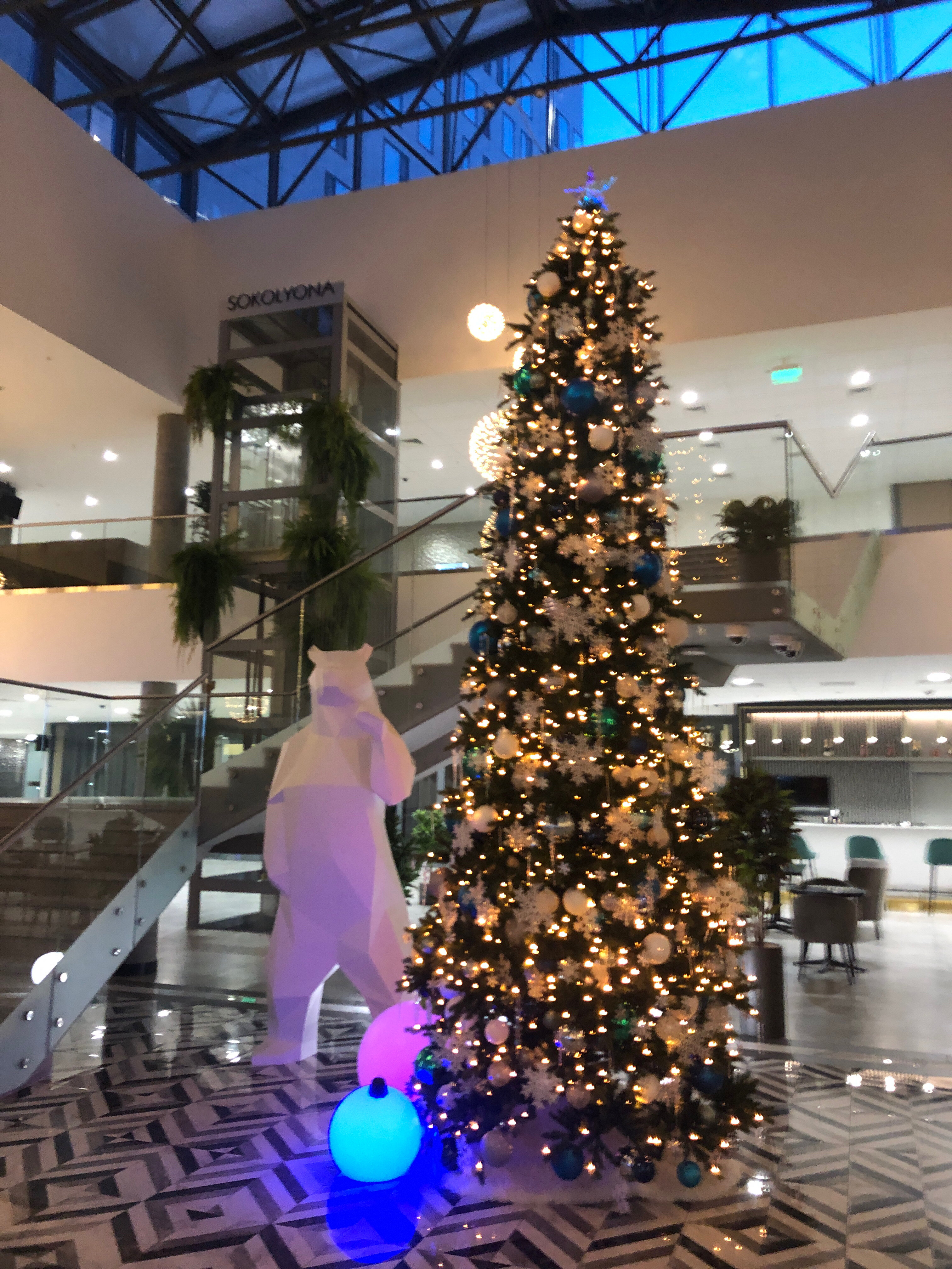 Фото Соколёна