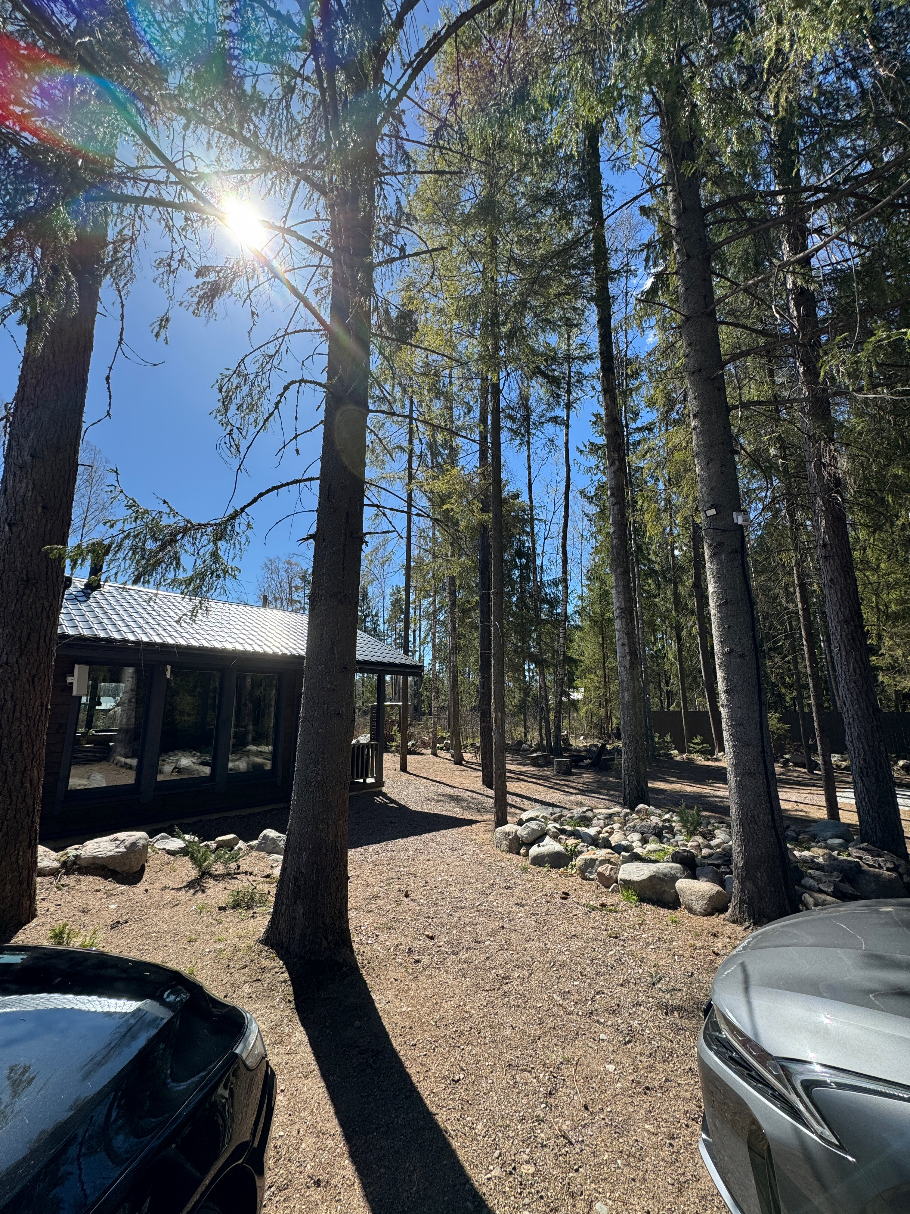 Фото Smell Of The Forest