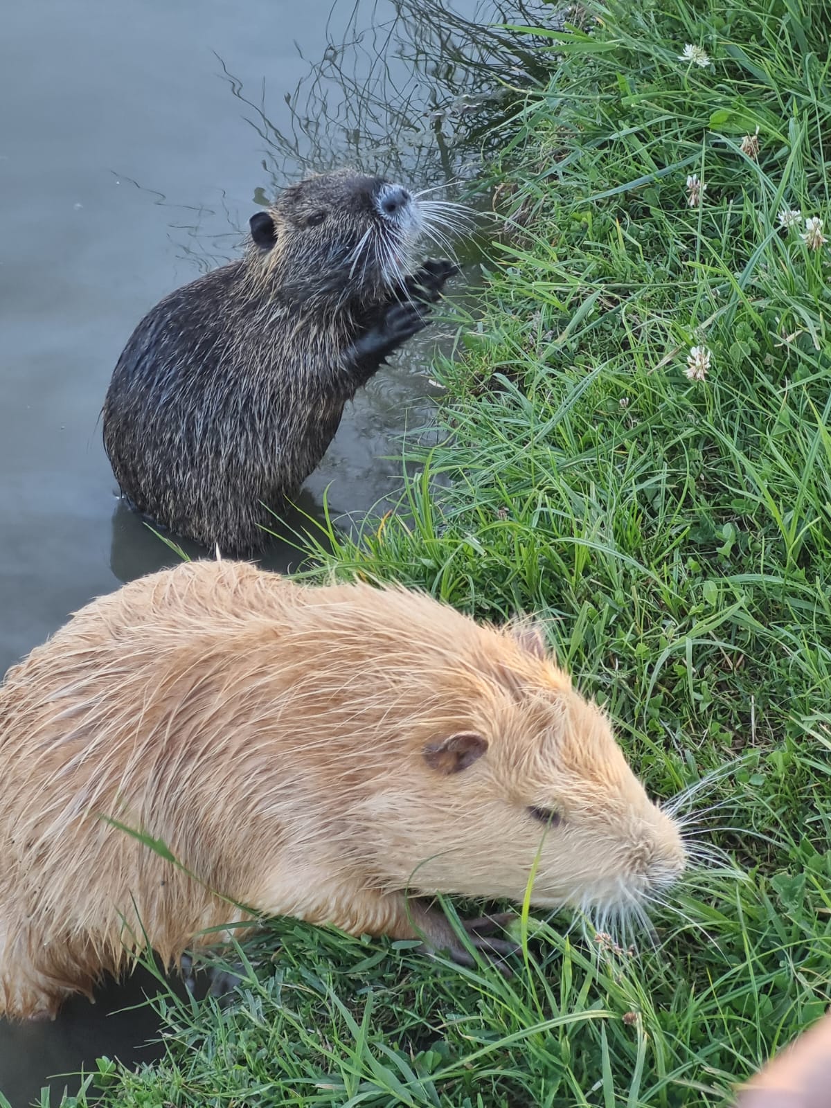 Фото Турист
