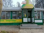 Цветы (Revolyutsionnaya Street, 76А) ، محل زهور