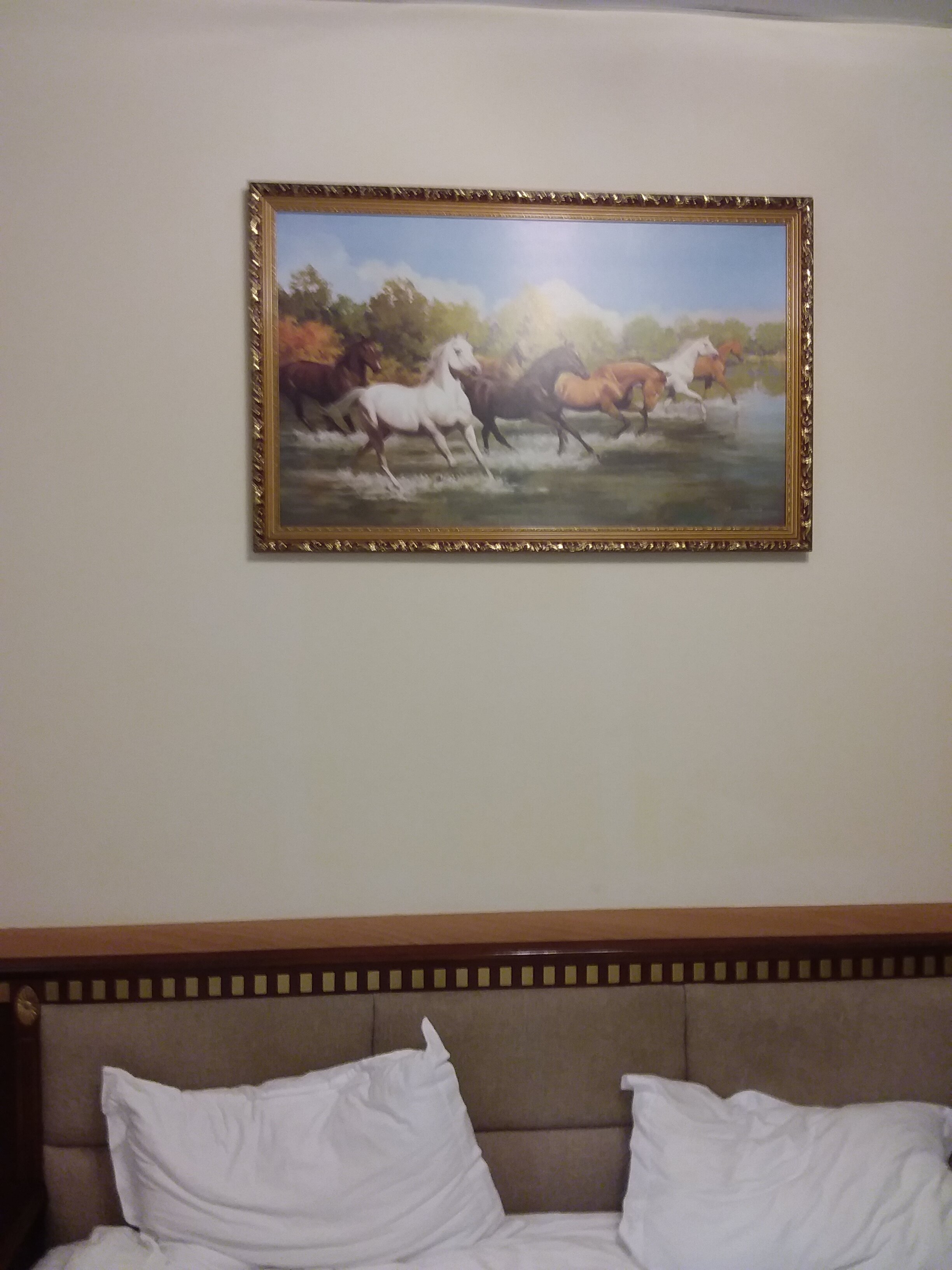 Фото Сокольники