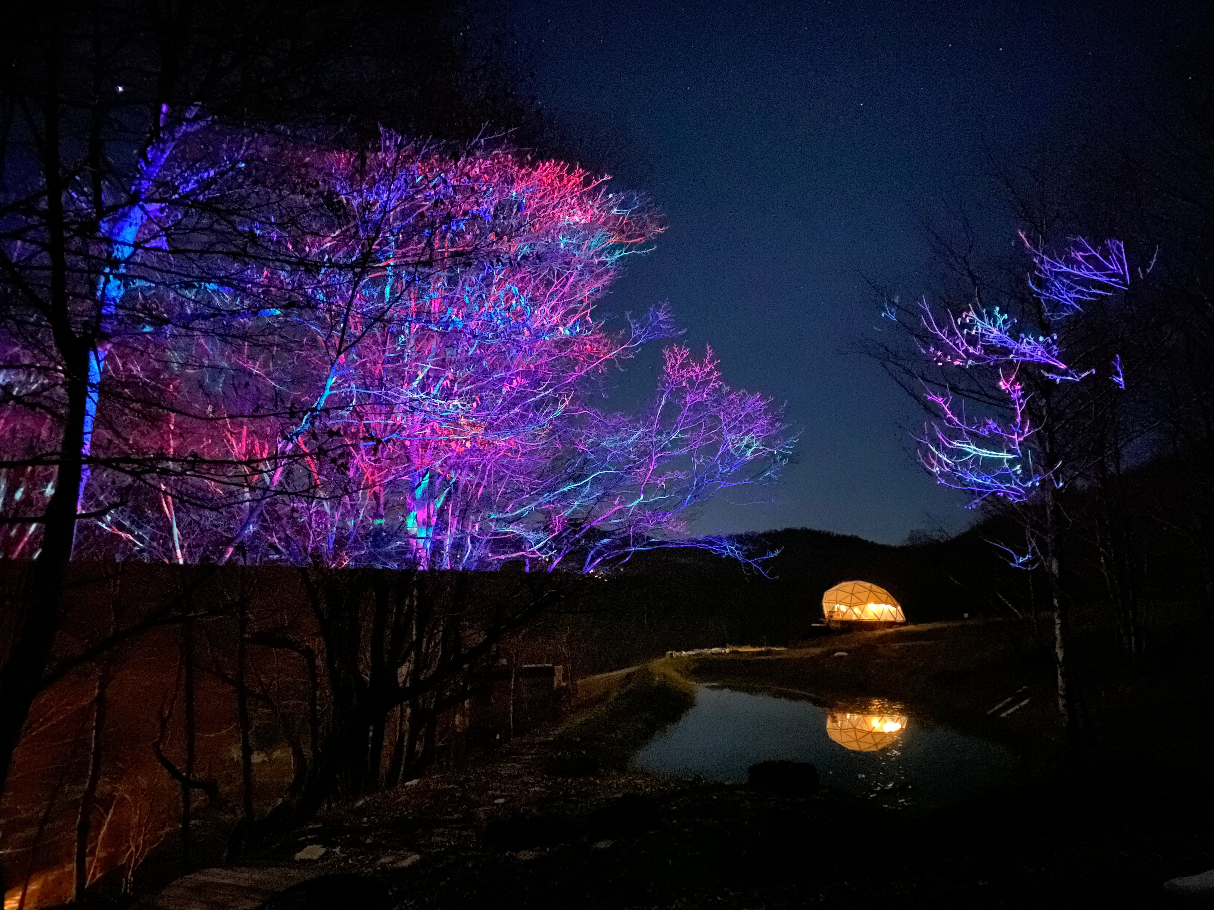 Фото Пермапарк