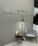 Molecula (Moskovskaya Street, 162), nail salon