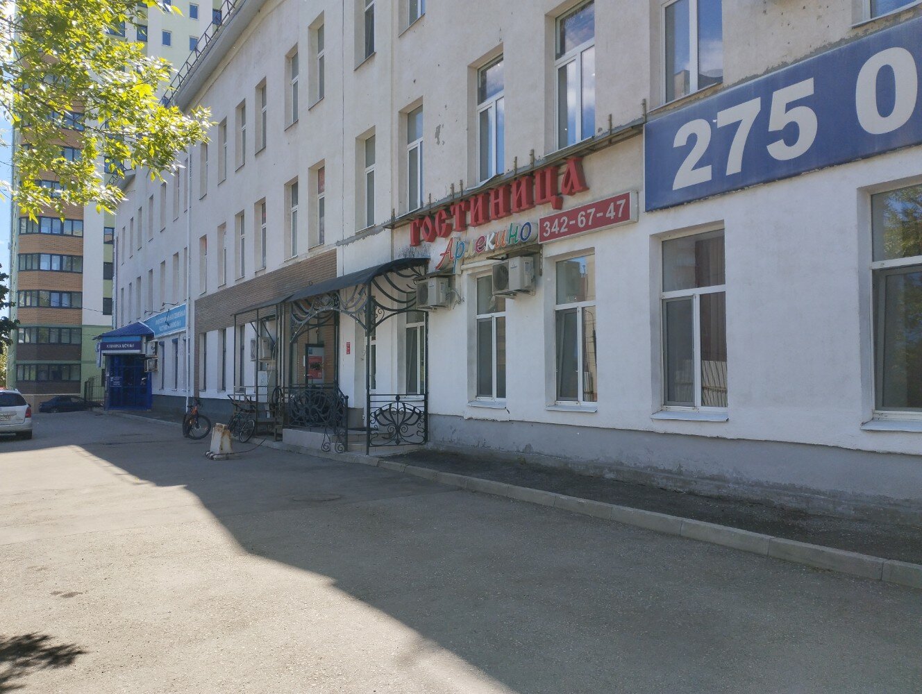 Фото Арлекино