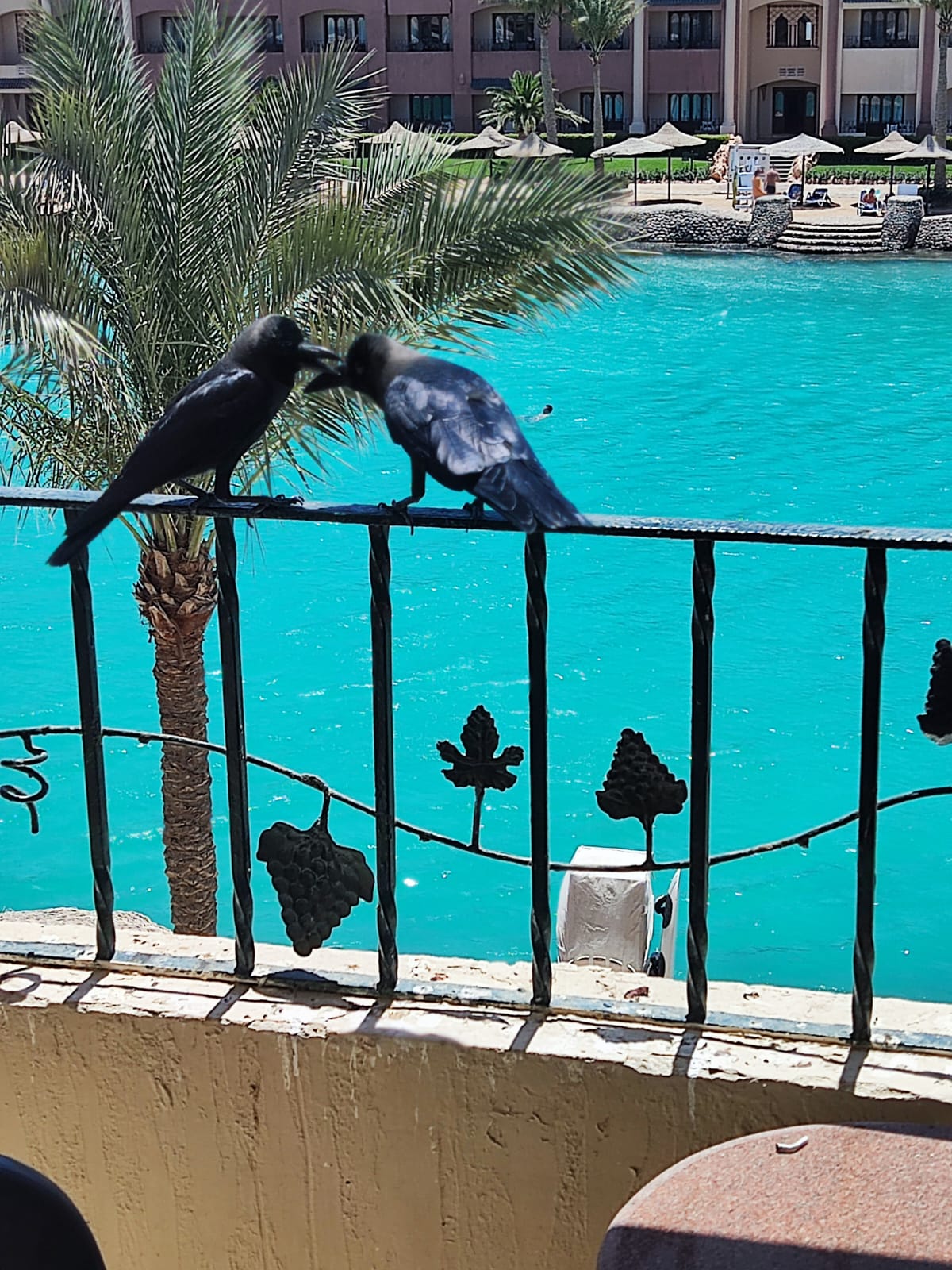 Фото Sunny Days El Palacio Resort & SPA