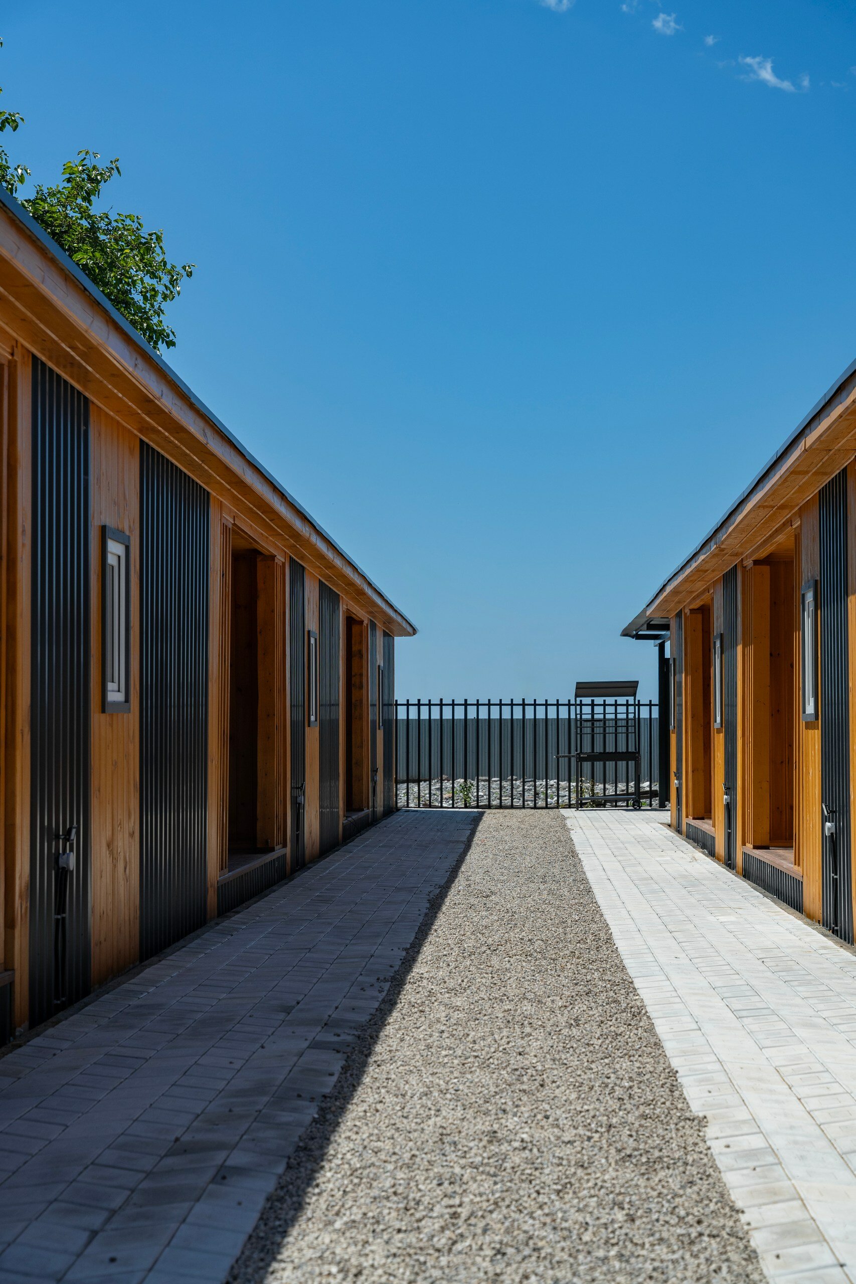 Фото Dионис