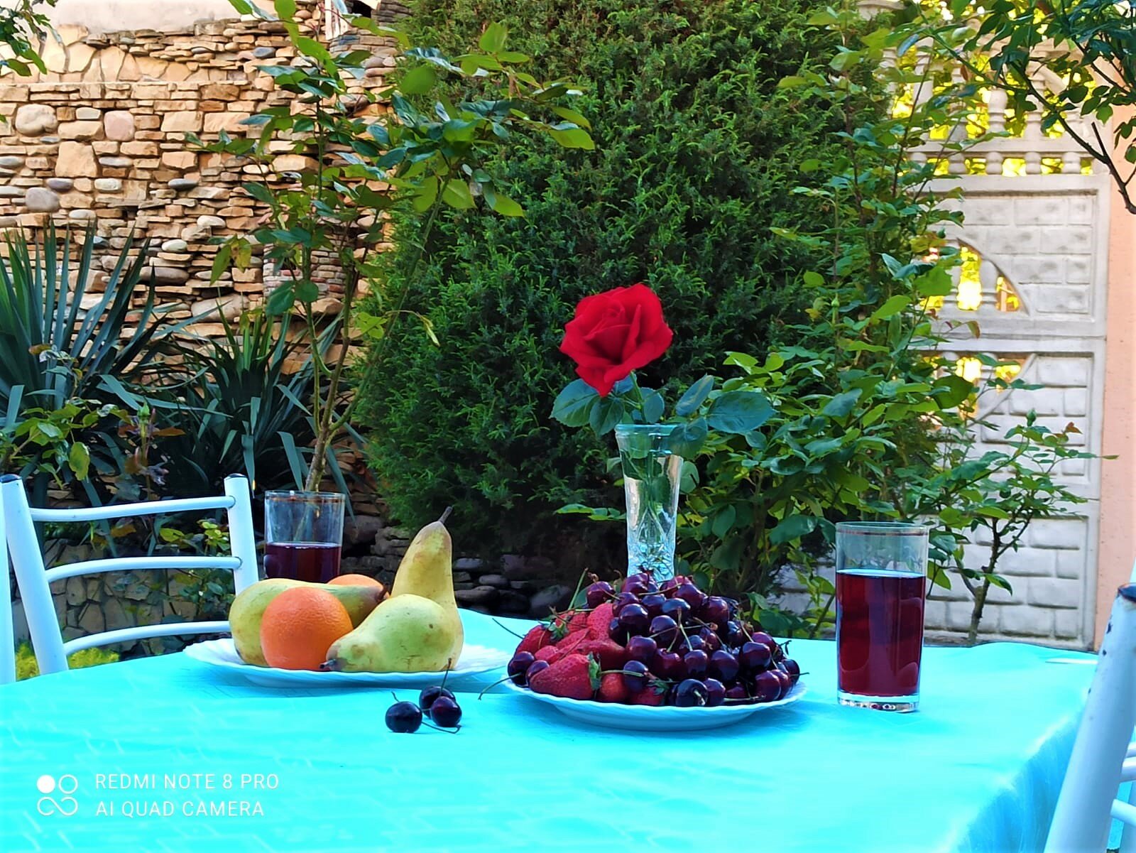 Фото Афалина