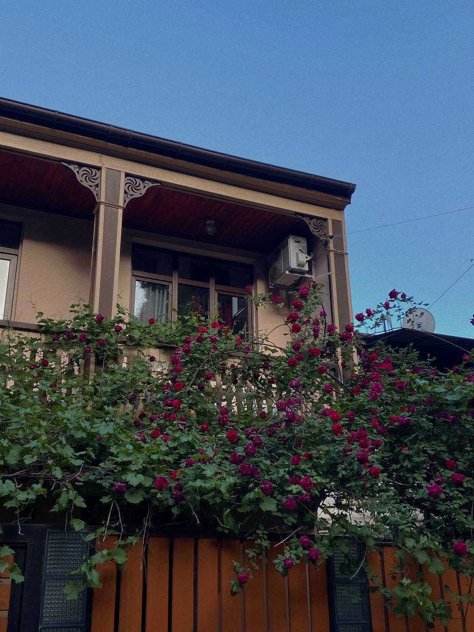 Фото Tbilisi Tales