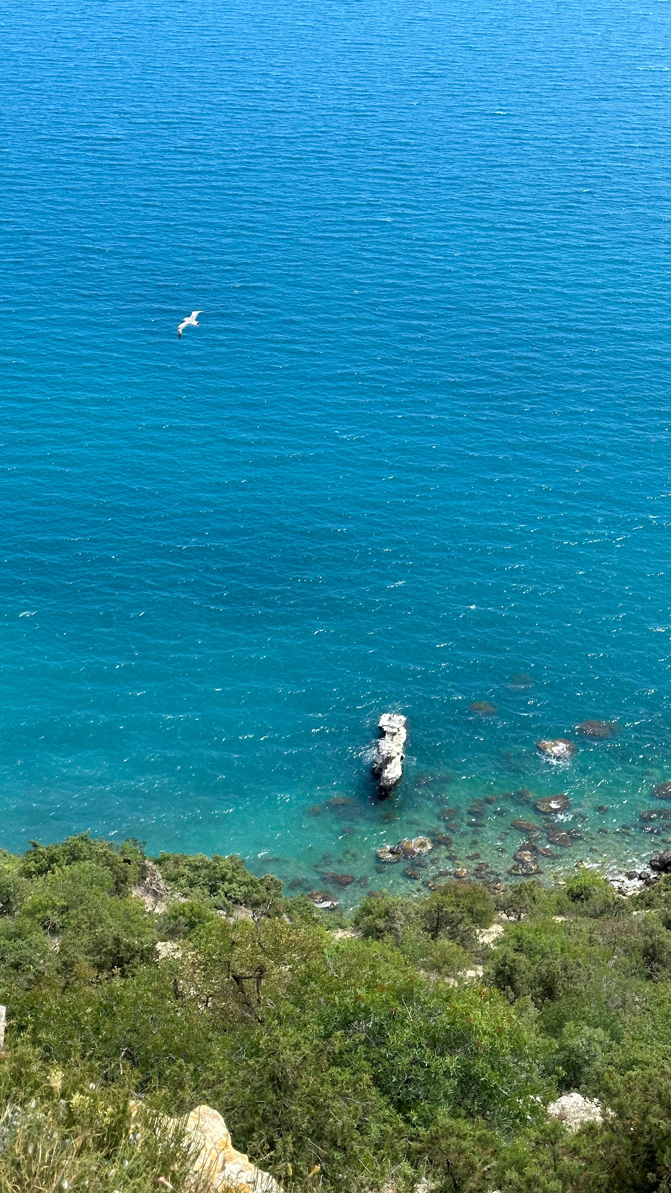 Фото Империал