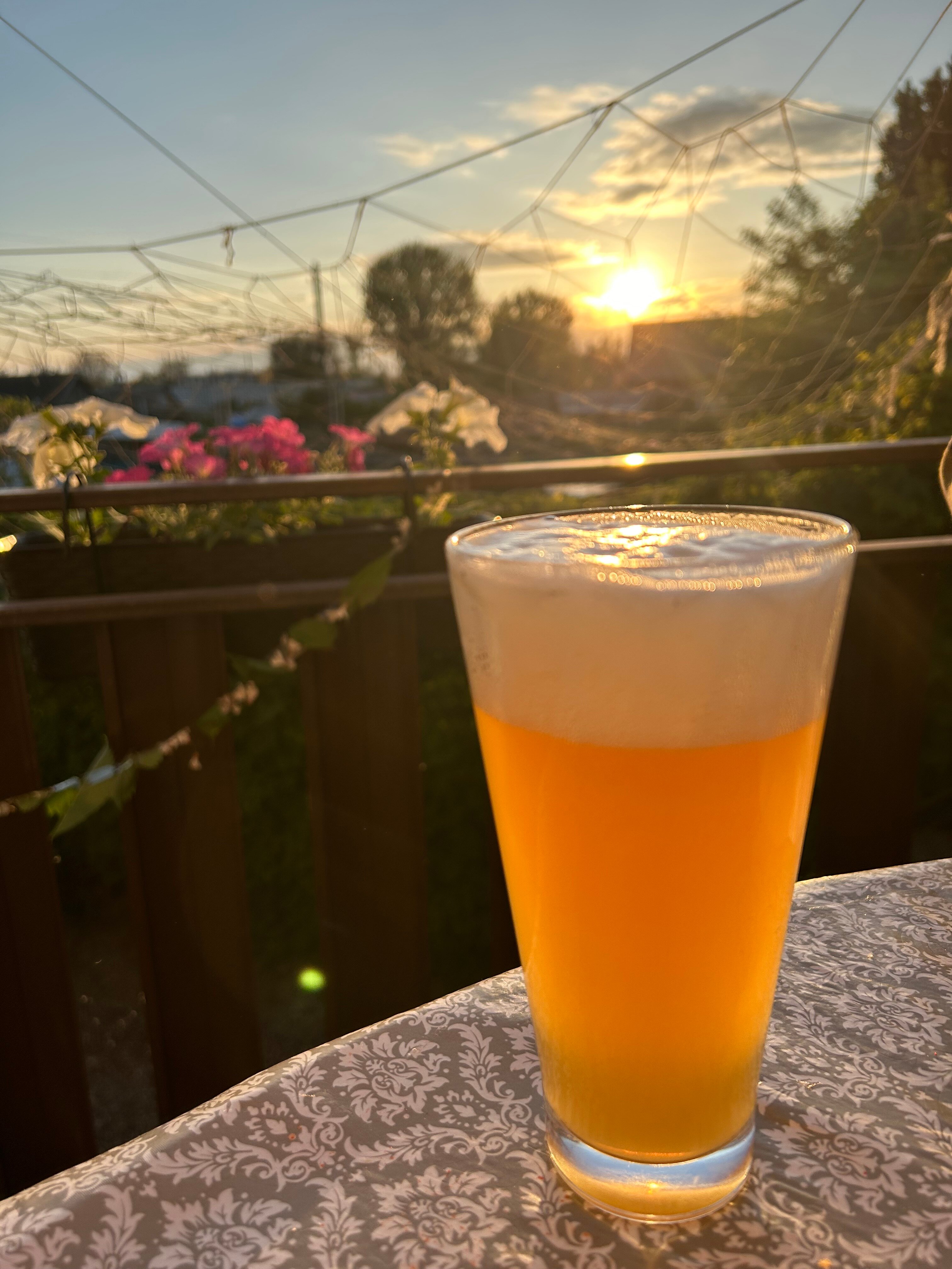 Фото У Михалыча