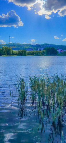 Jinsiy aloqada bolgan juftliklar