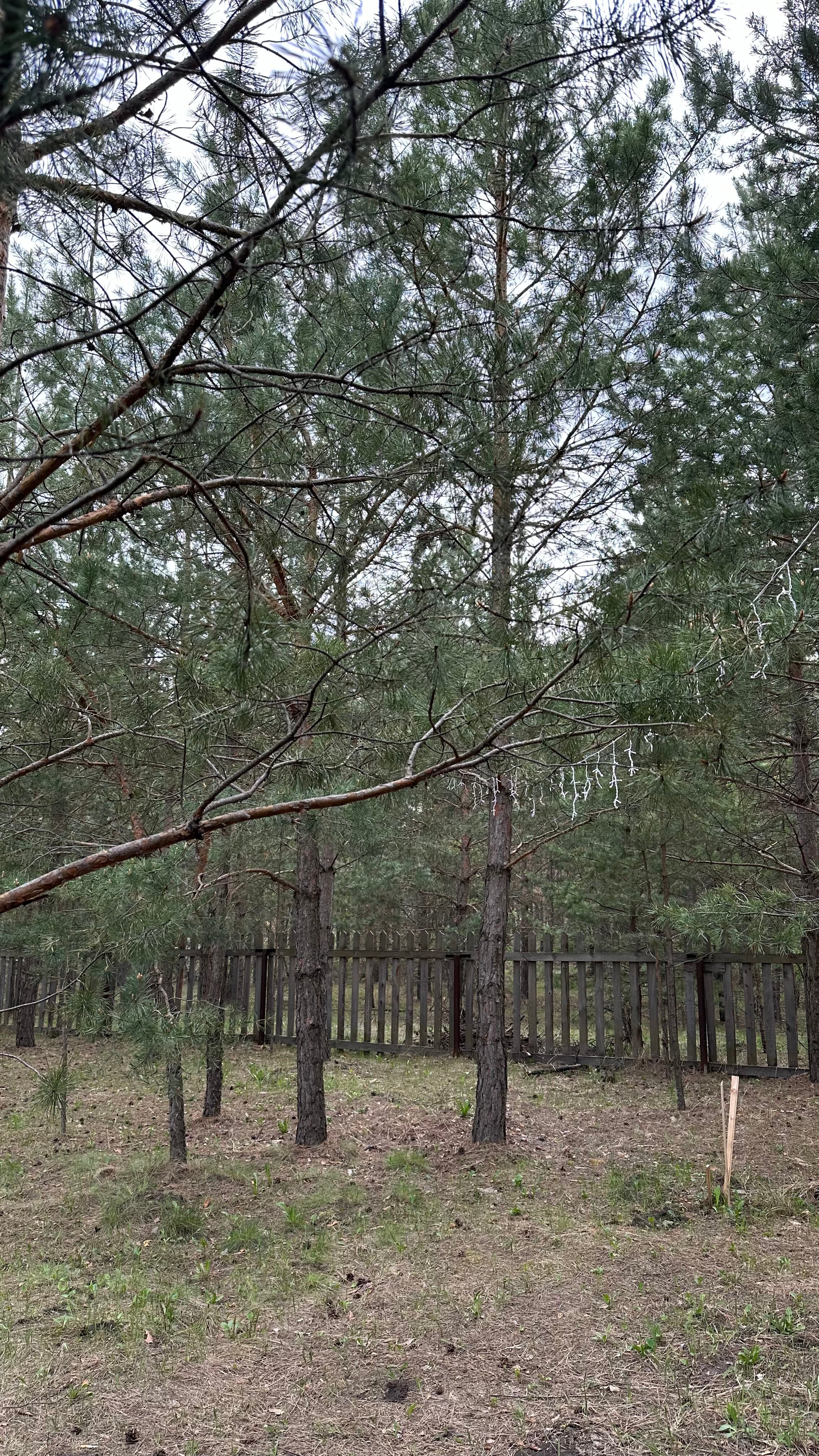 Фото Место счастья