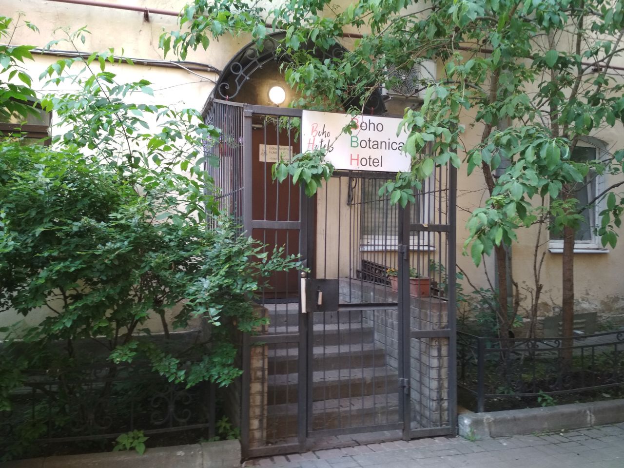 Фото Boho Botanica