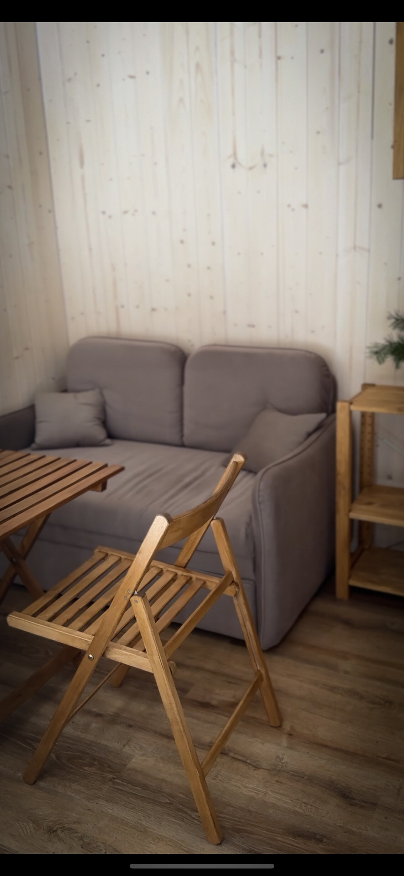 Фото Место под соснами