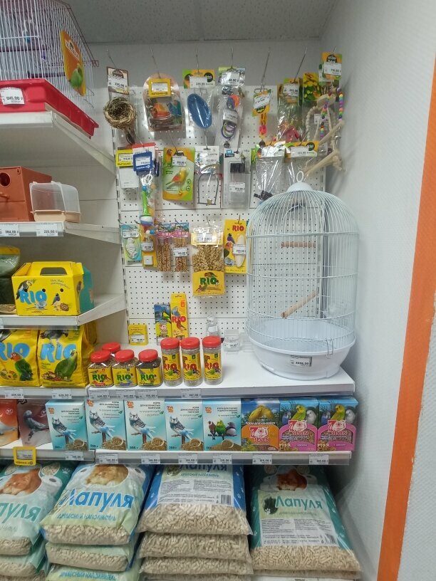 Pet shop Nemo, Izhevsk, photo