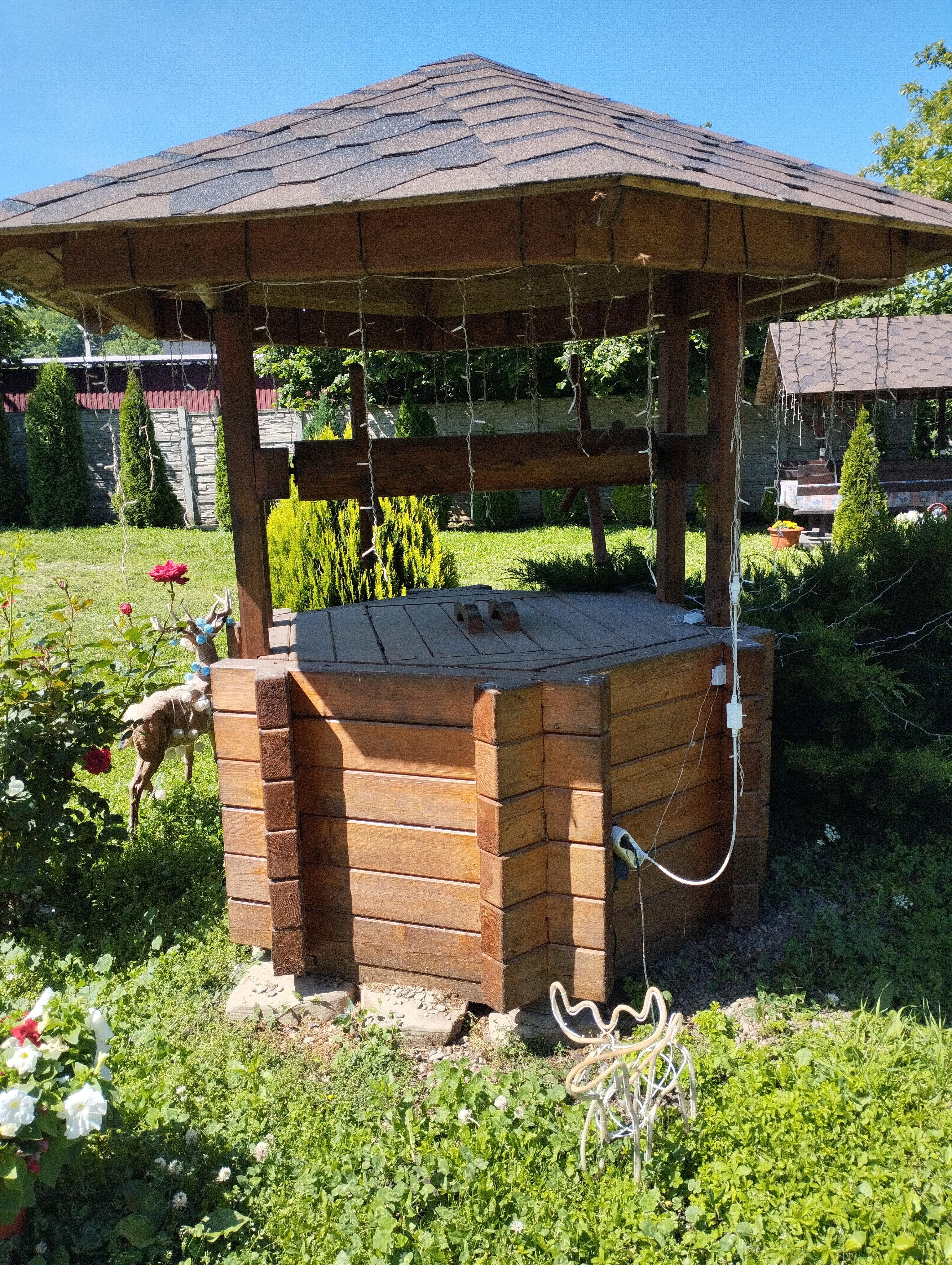 Фото Два брата