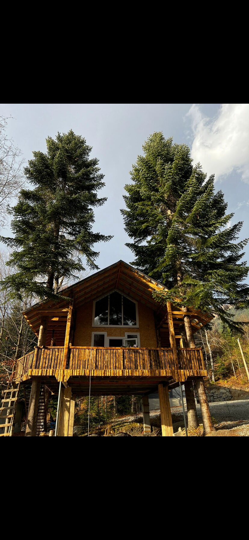 Фото Аргали