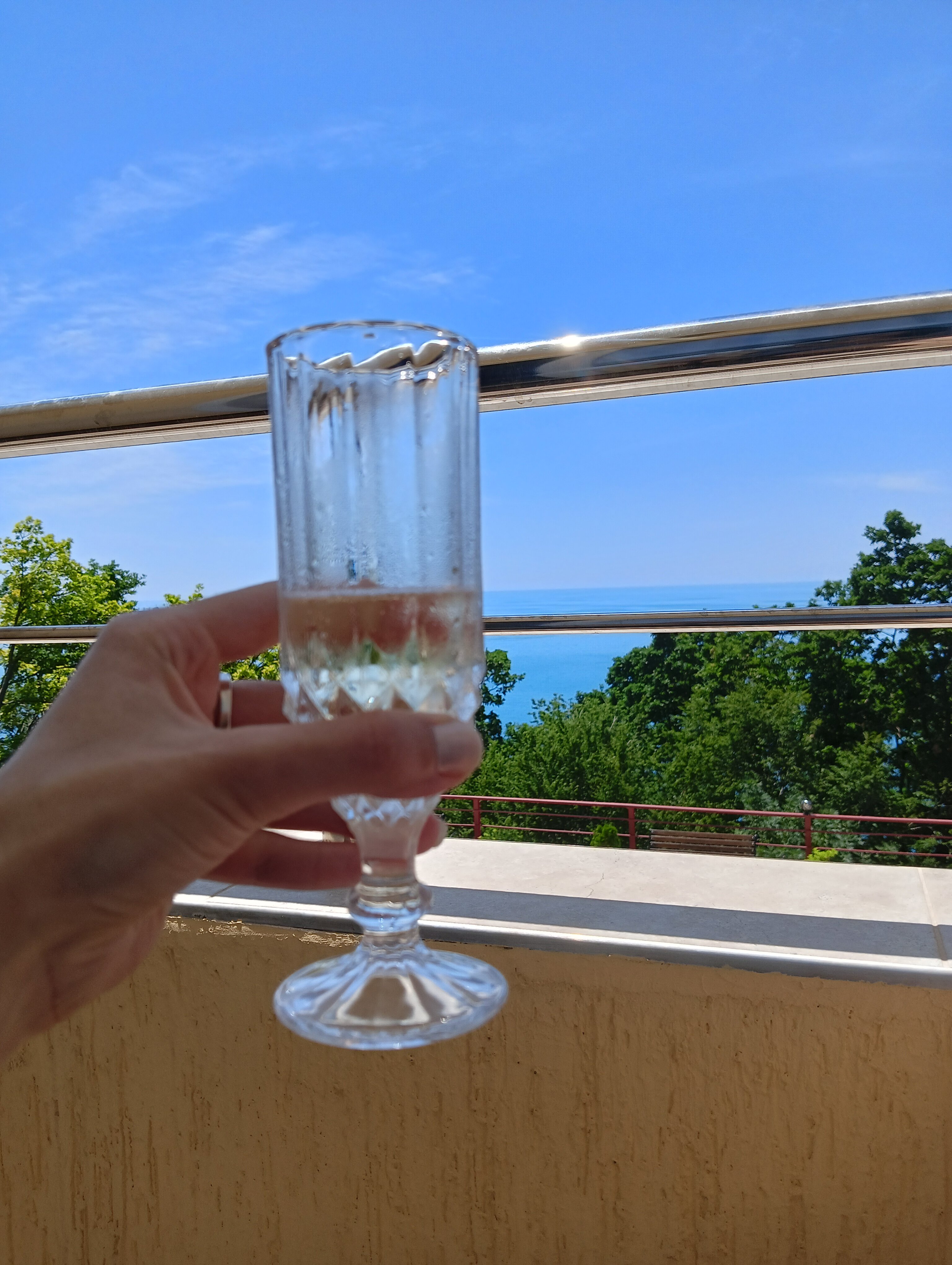 Фото Багира