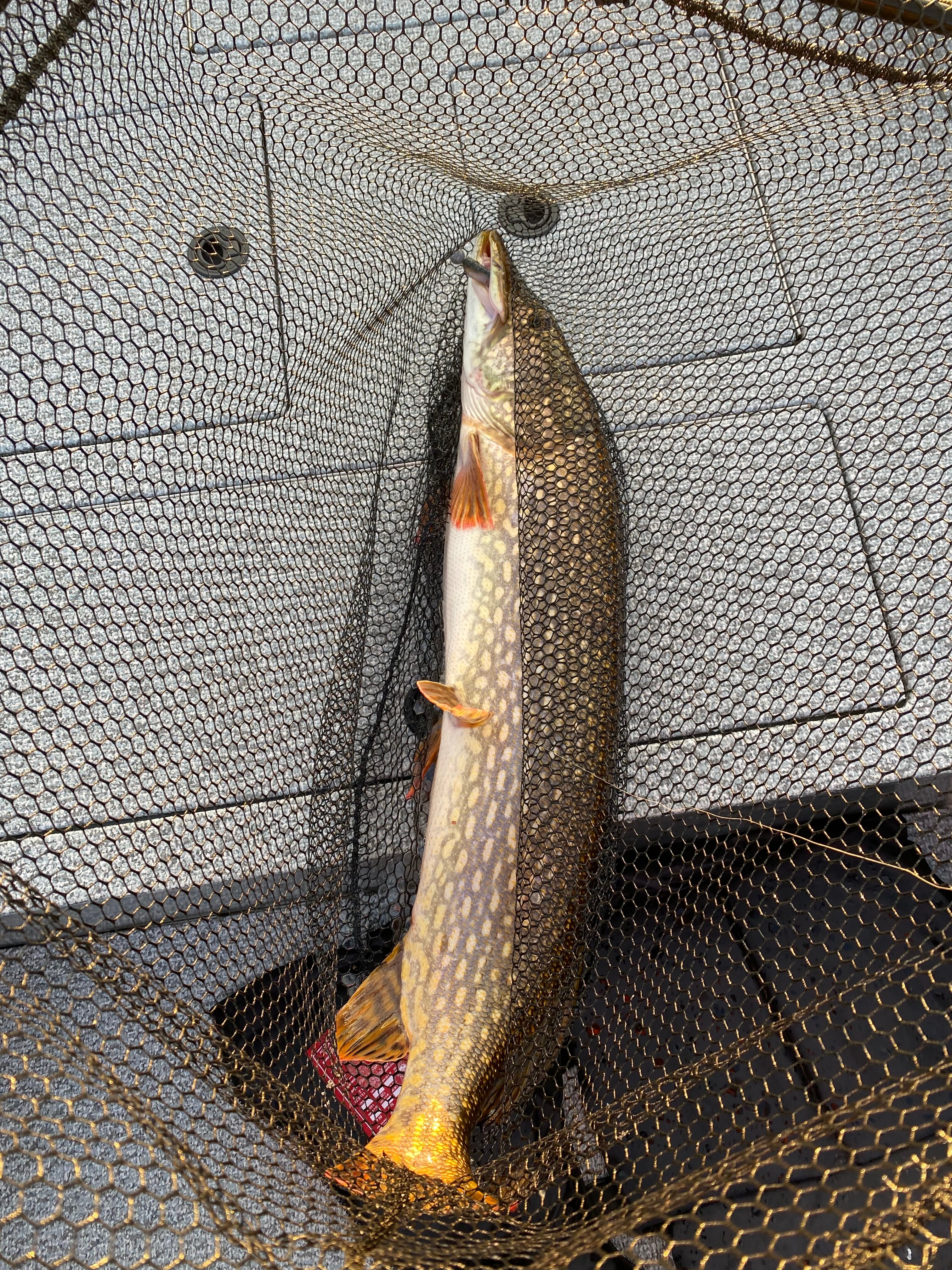 Фото Дом рыбака Дунаец