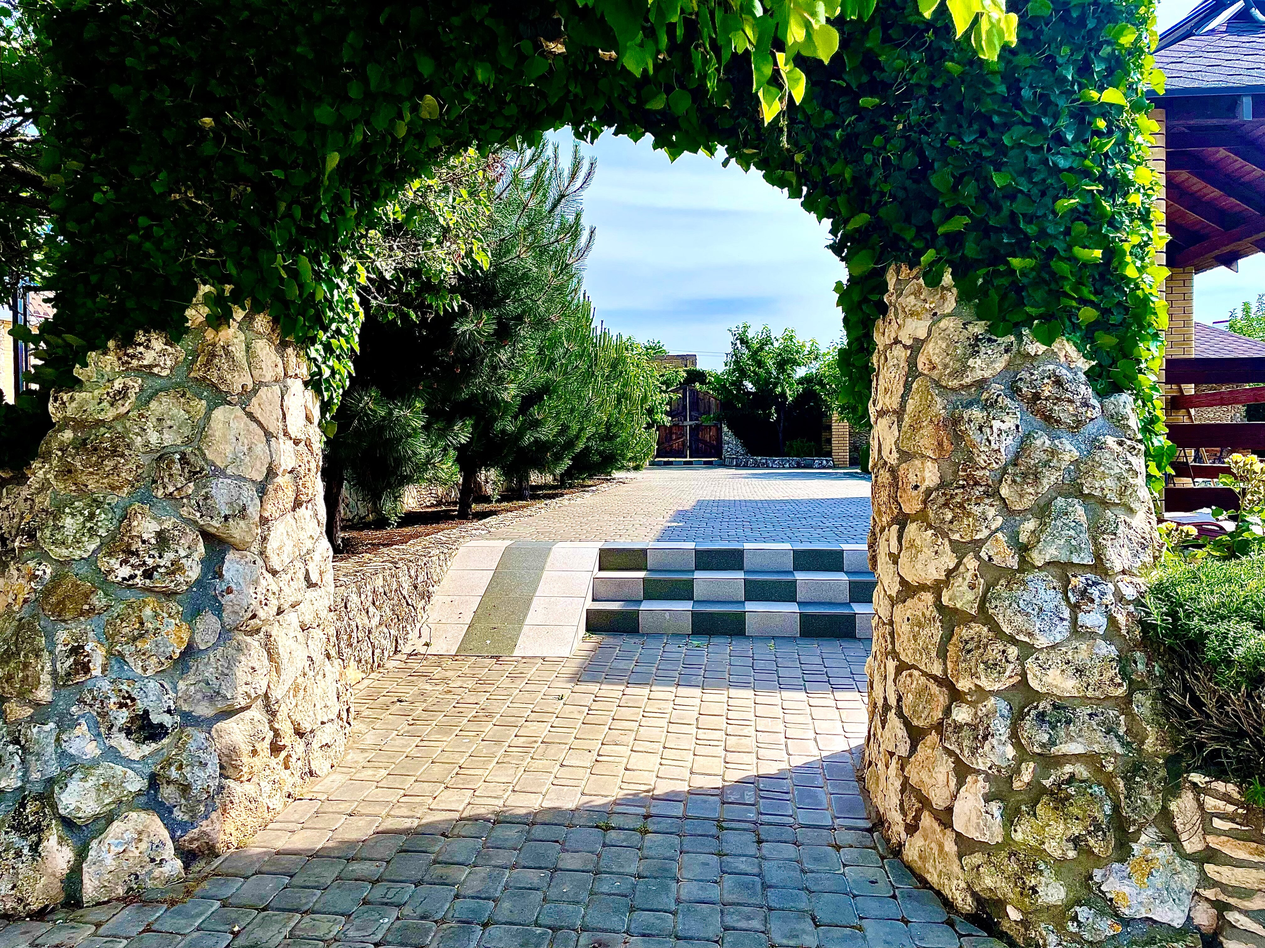 Фото Морская Звезда