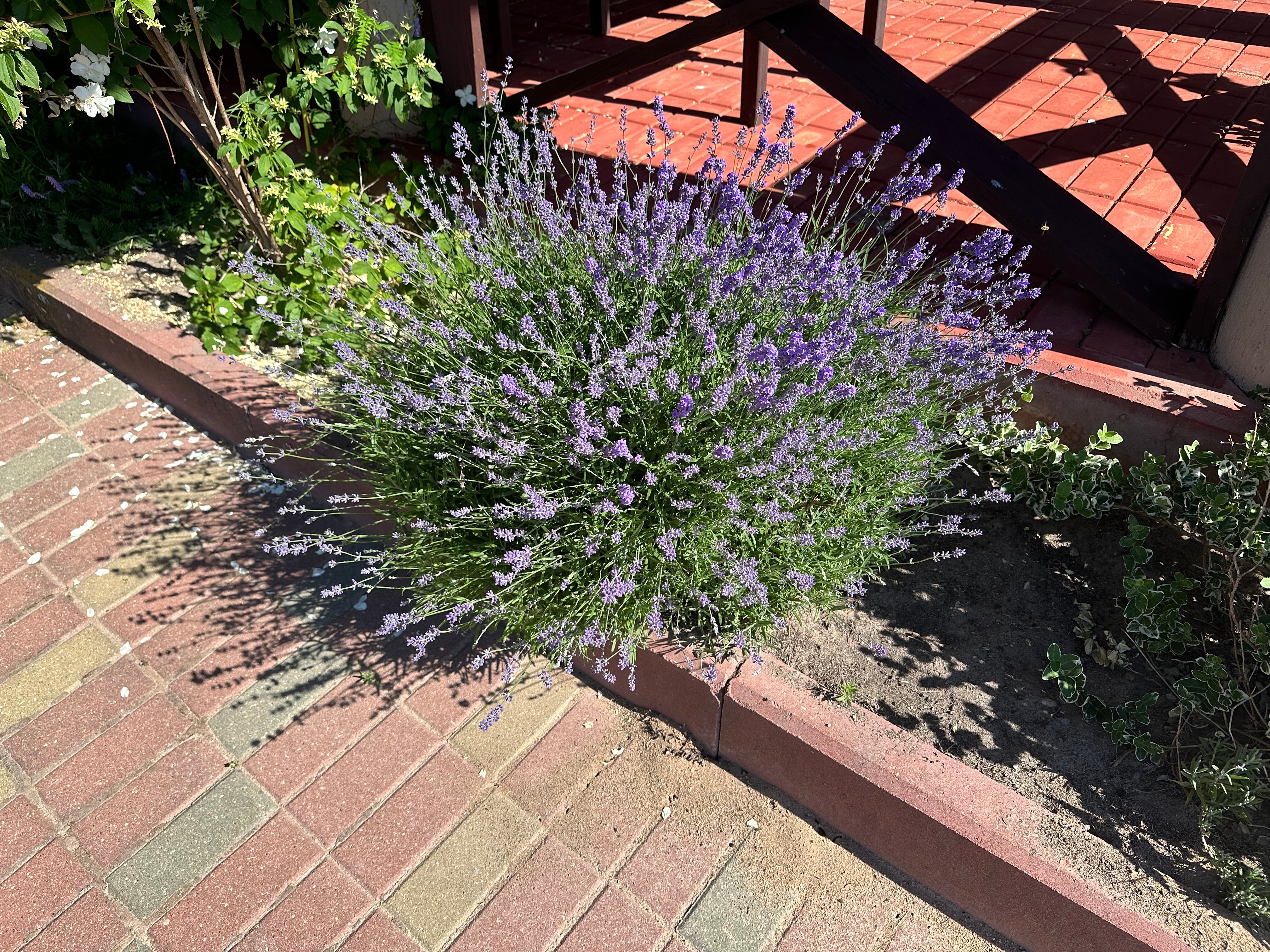 Фото BraslavLakes