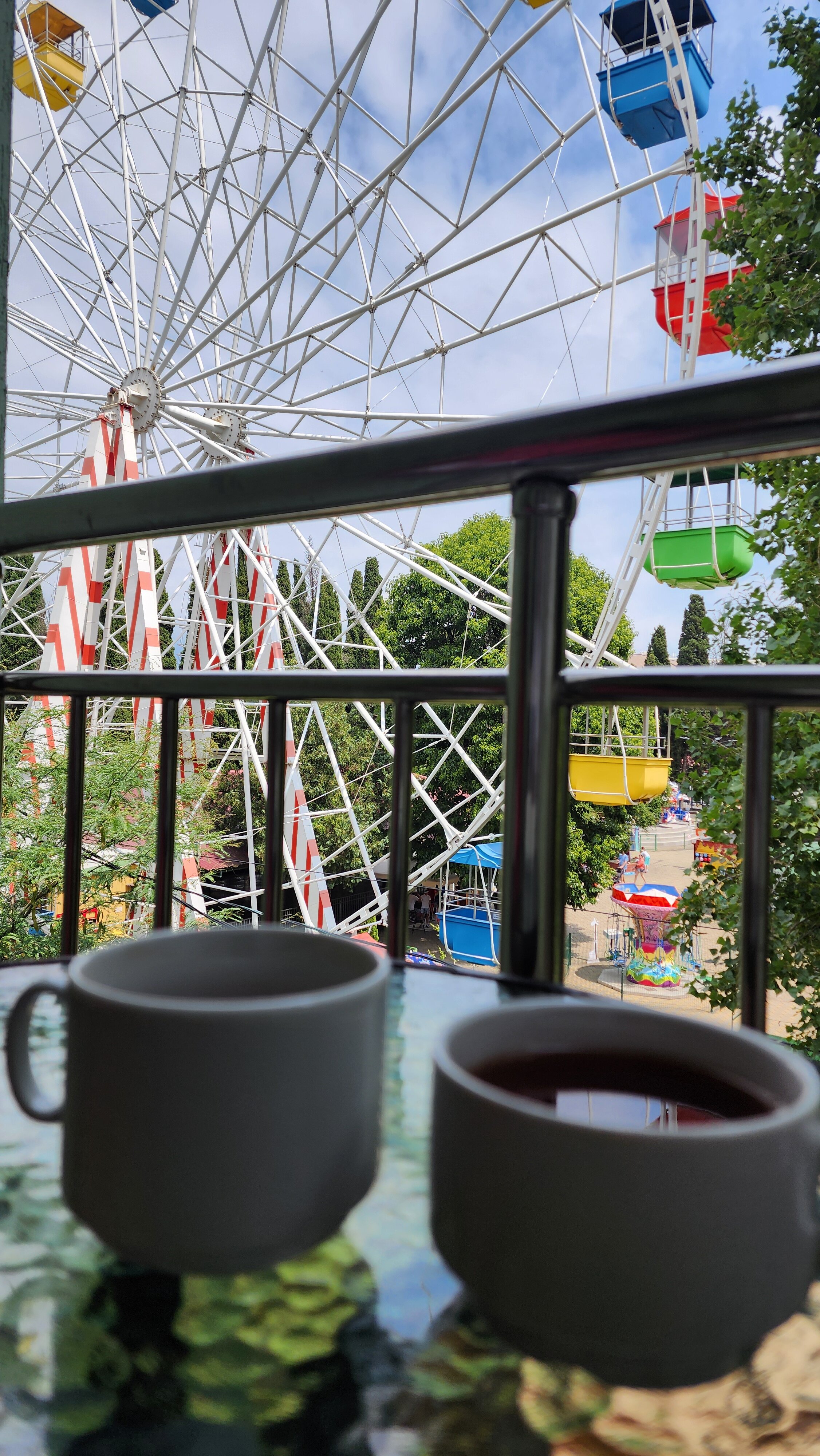 Фото Тростник