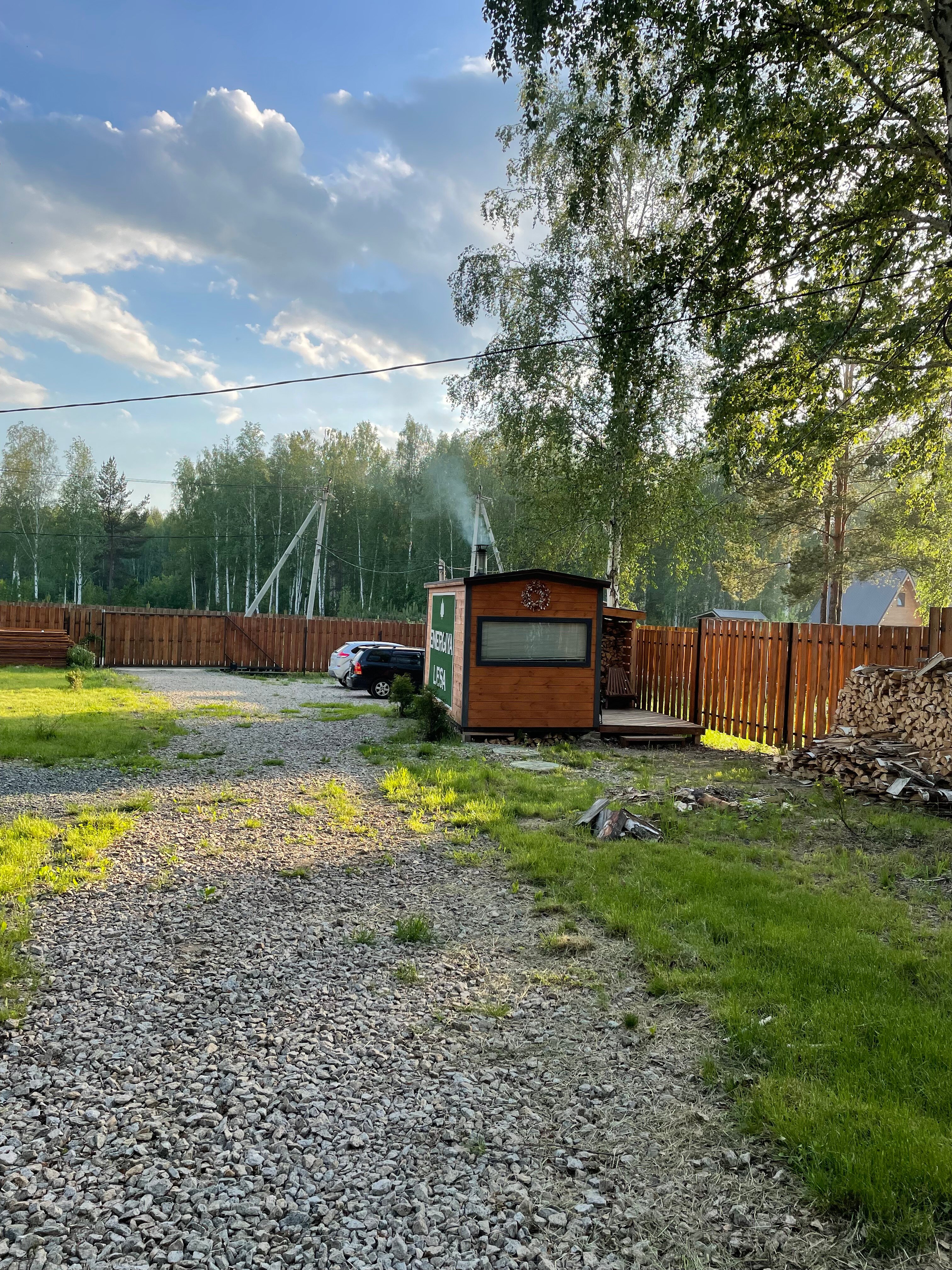 Фото Энергия леса