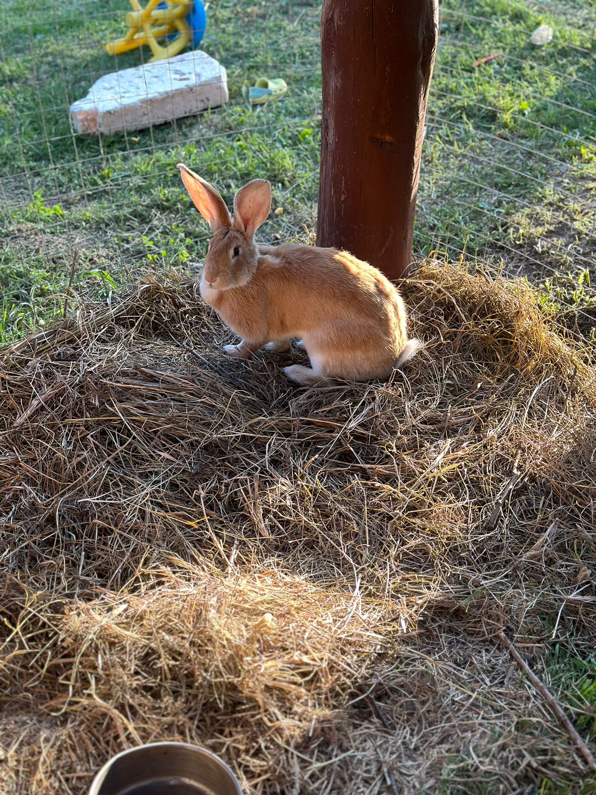 Фото Ай Куменово