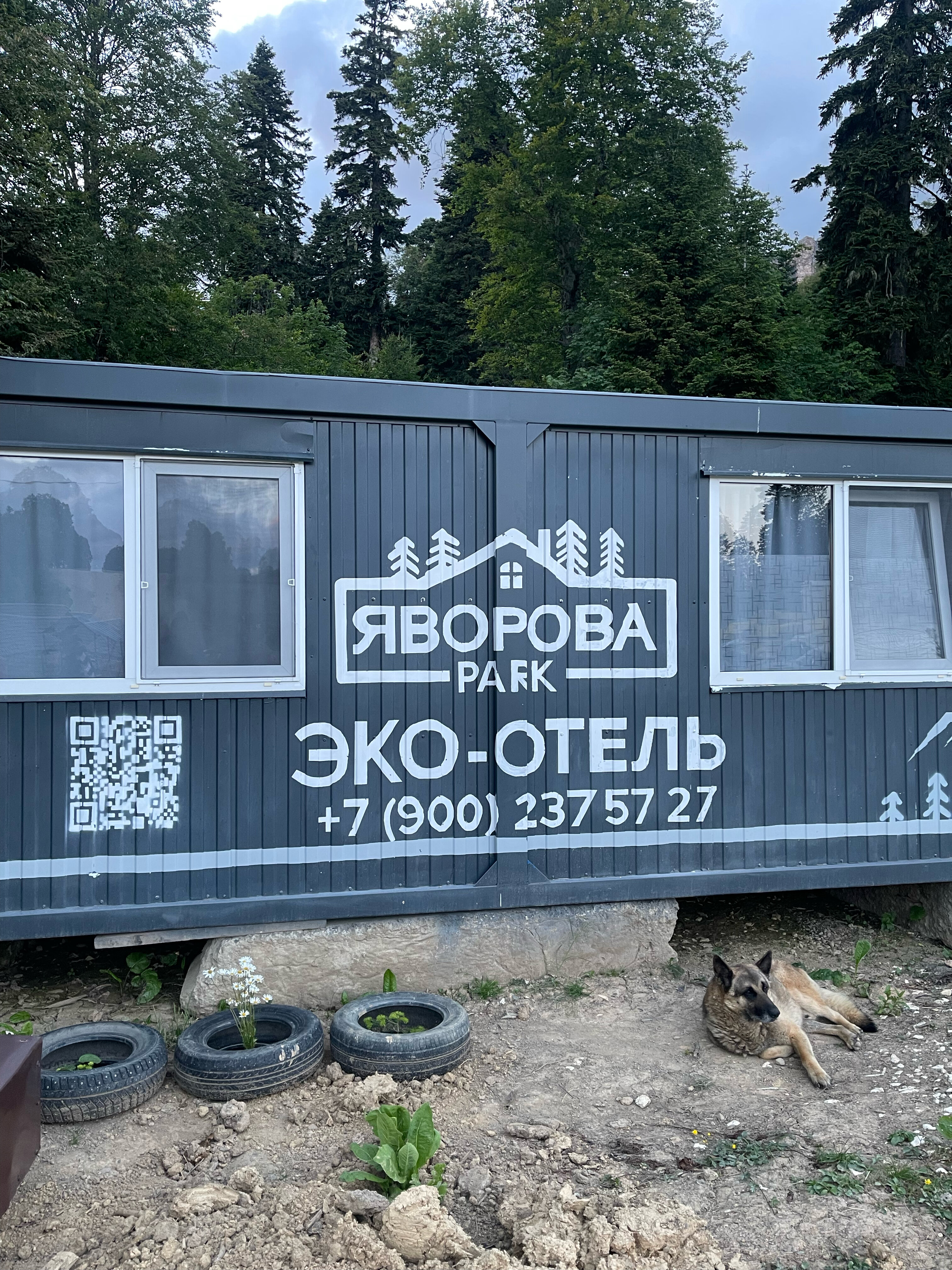 Фото Яворова Park