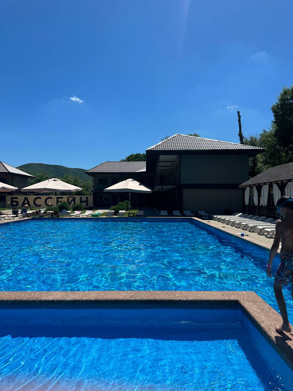 Фото Кипарис