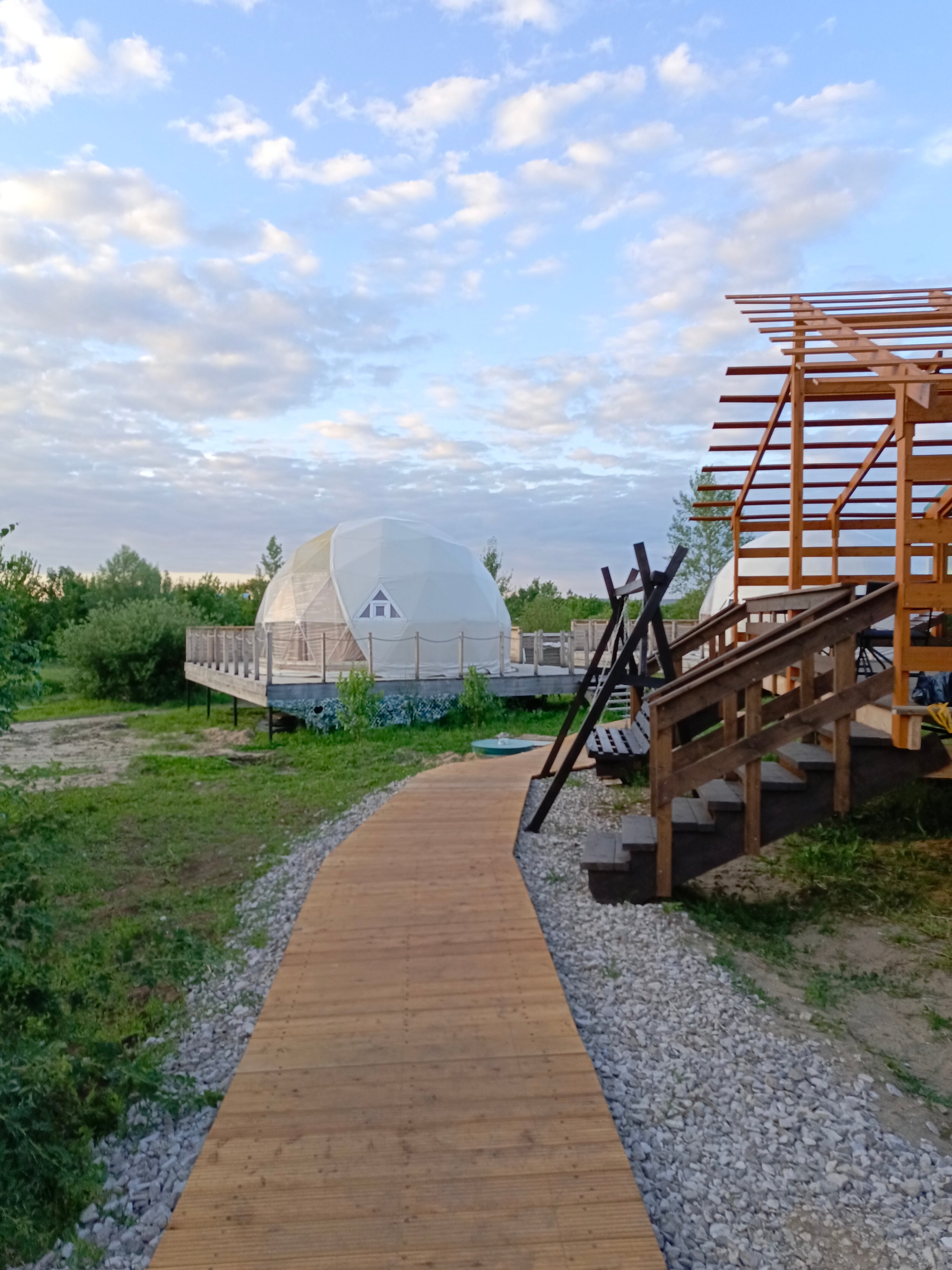 Фото Лисички-сестрички