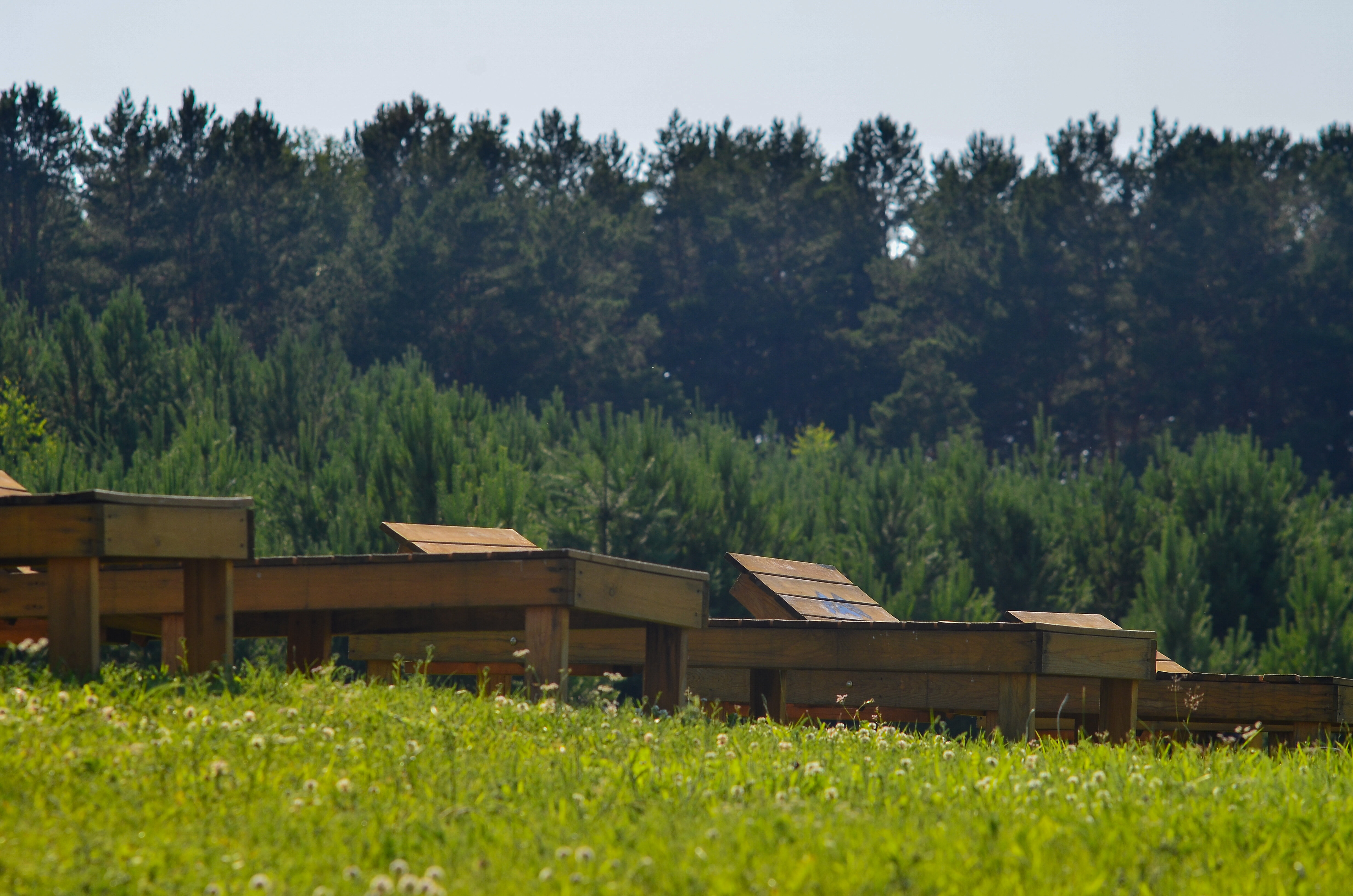 Фото Лестория