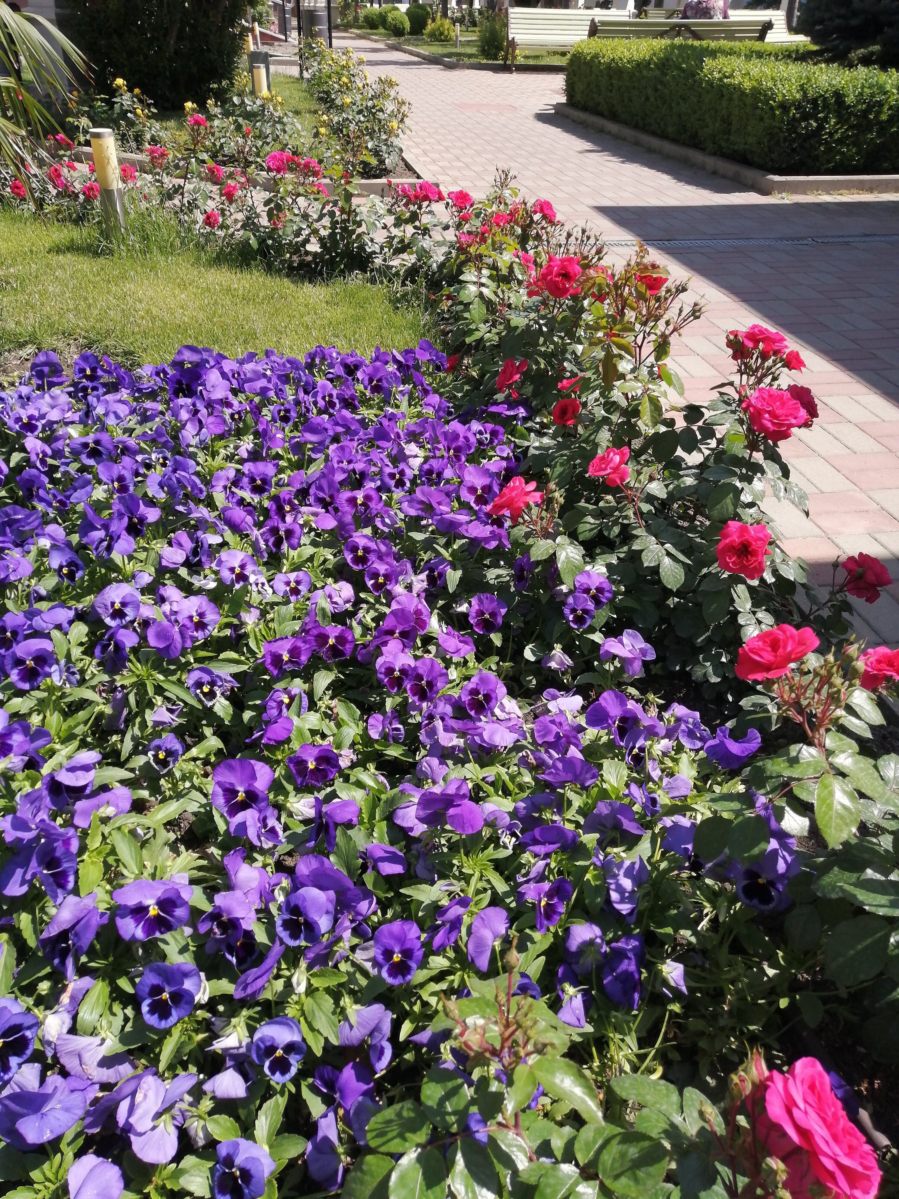 Фото Красная Талка