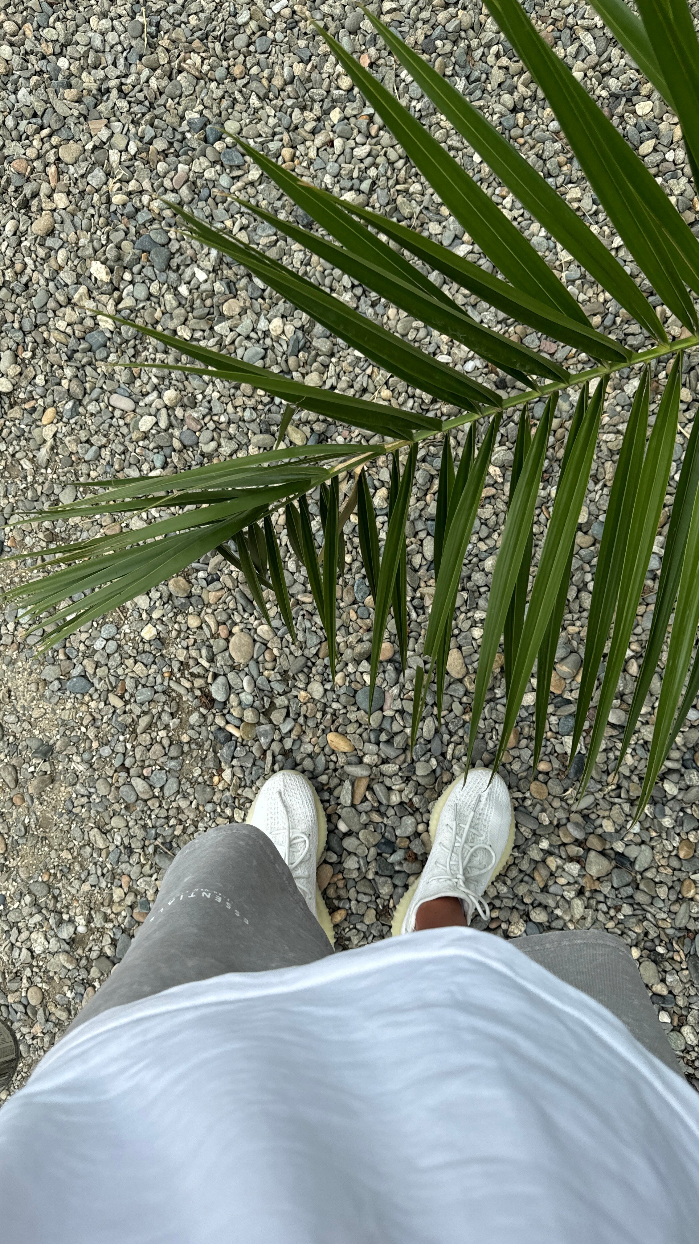 Фото Леонардо