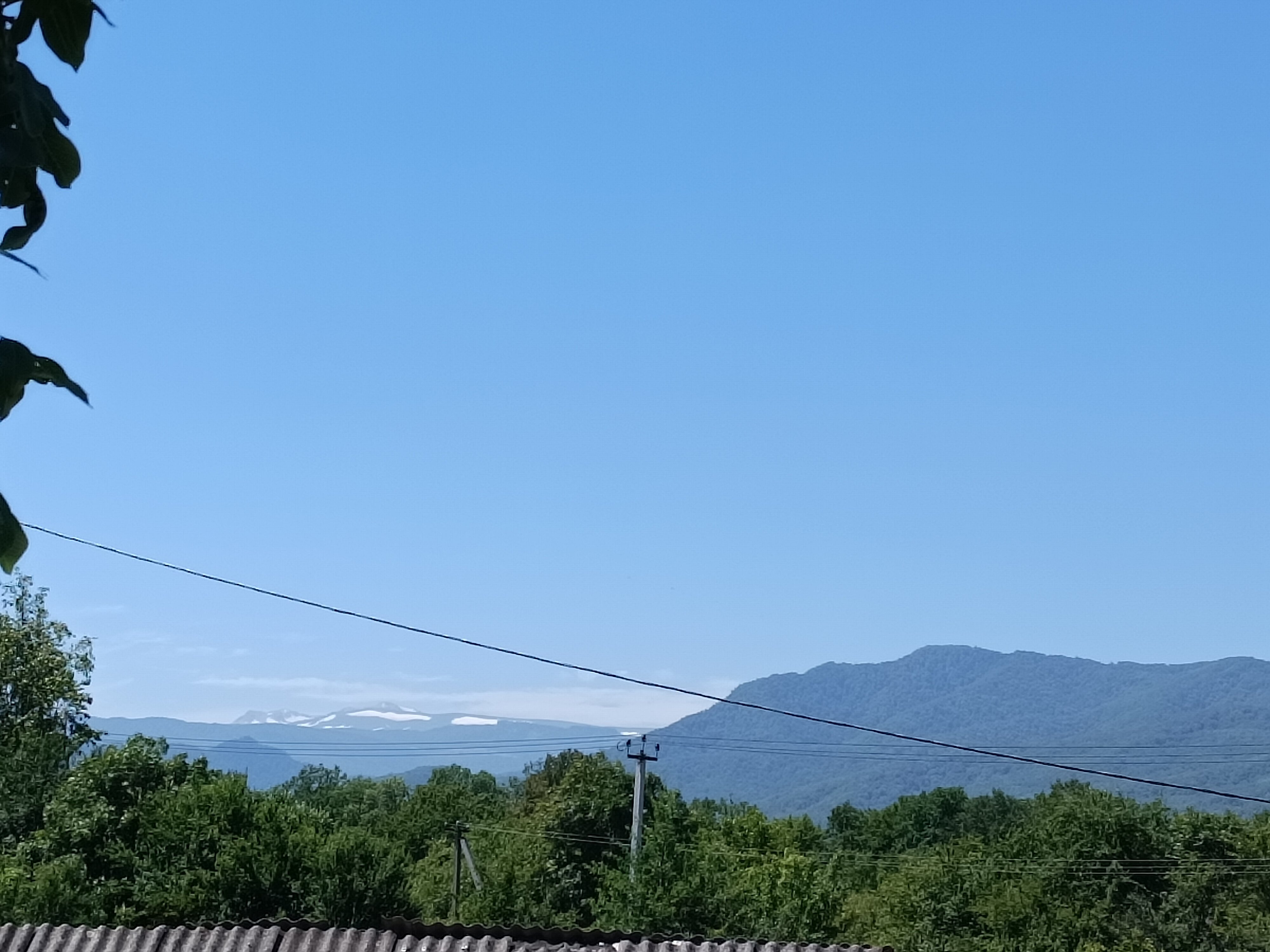 Фото Ореховая роща в Даховской