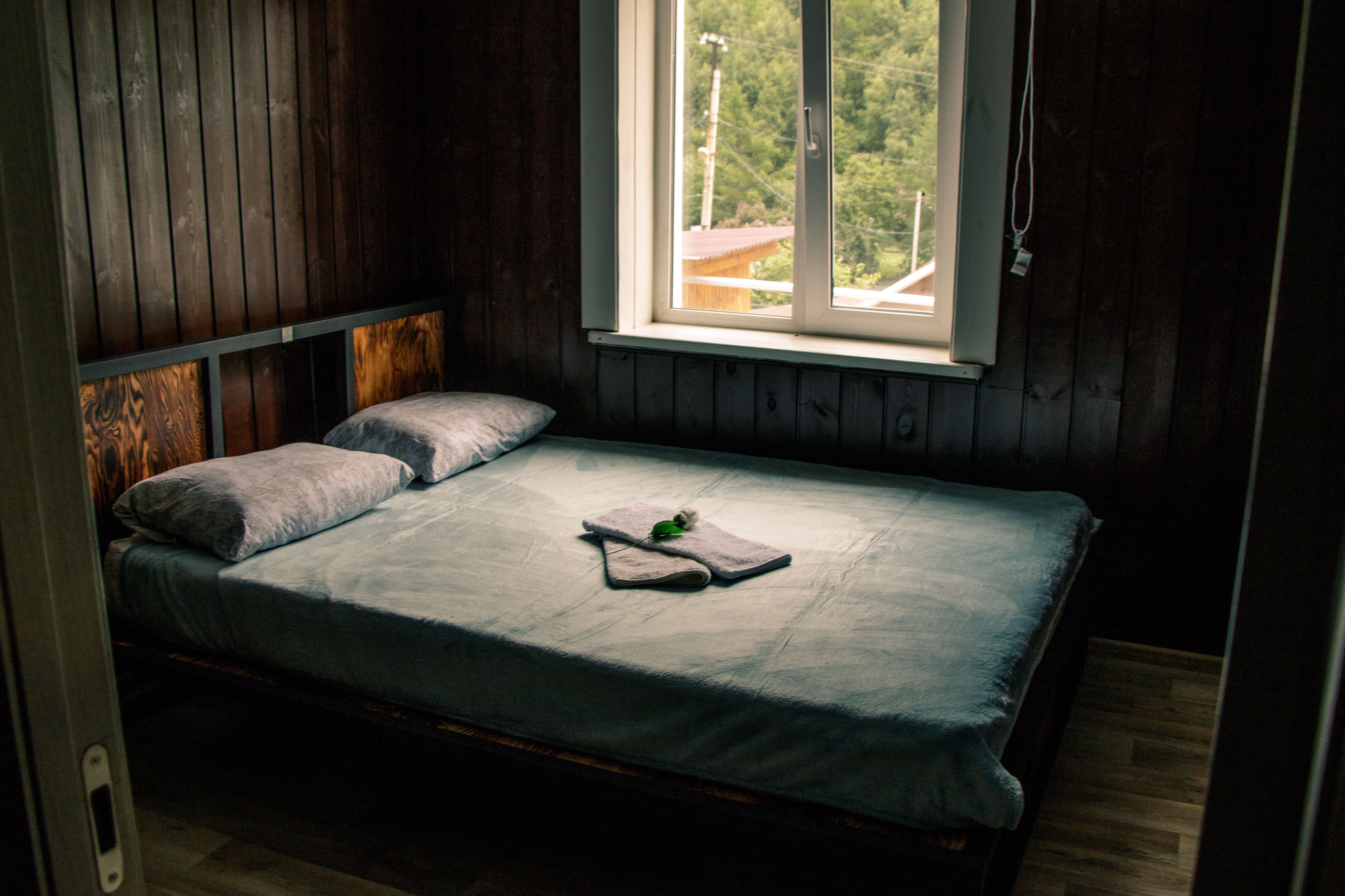 Фото Бодрый Медведь