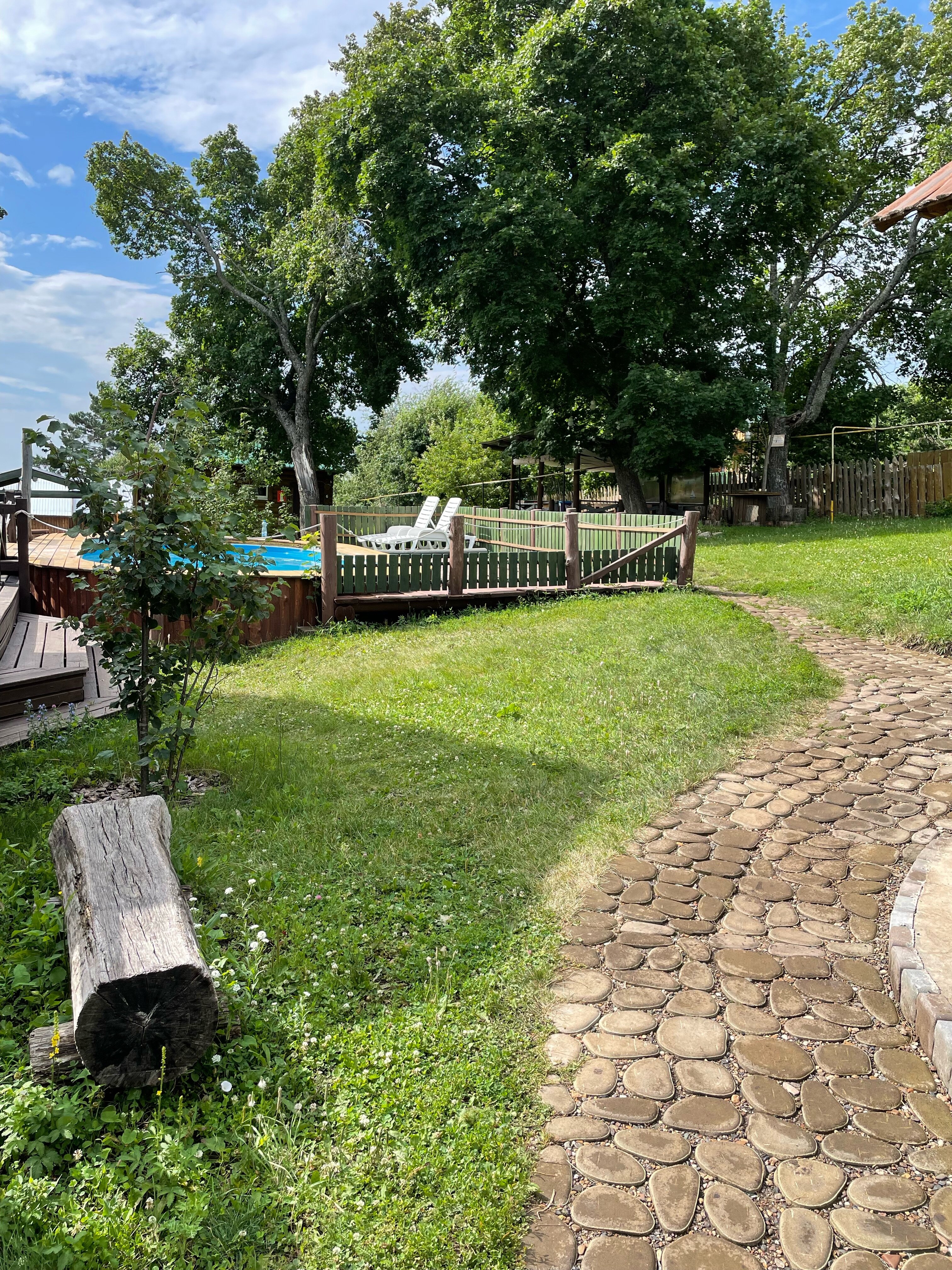 Фото Лесная сказка