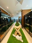 Pet Luxe Boutique & SPA (4, Al Muhayeda Street, W7-01, Abu Dhabi), pet hotel