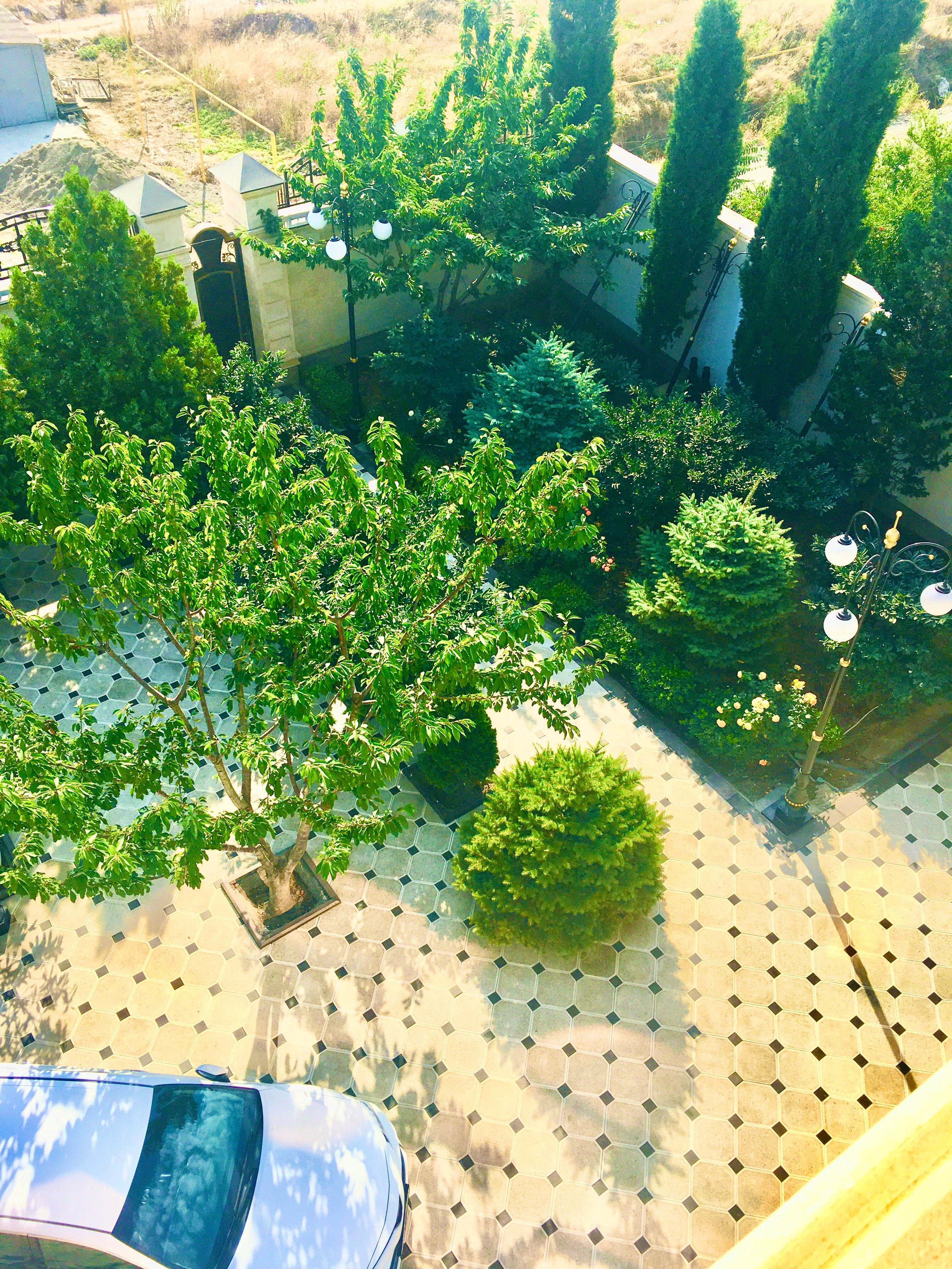 Фото Жемчужина