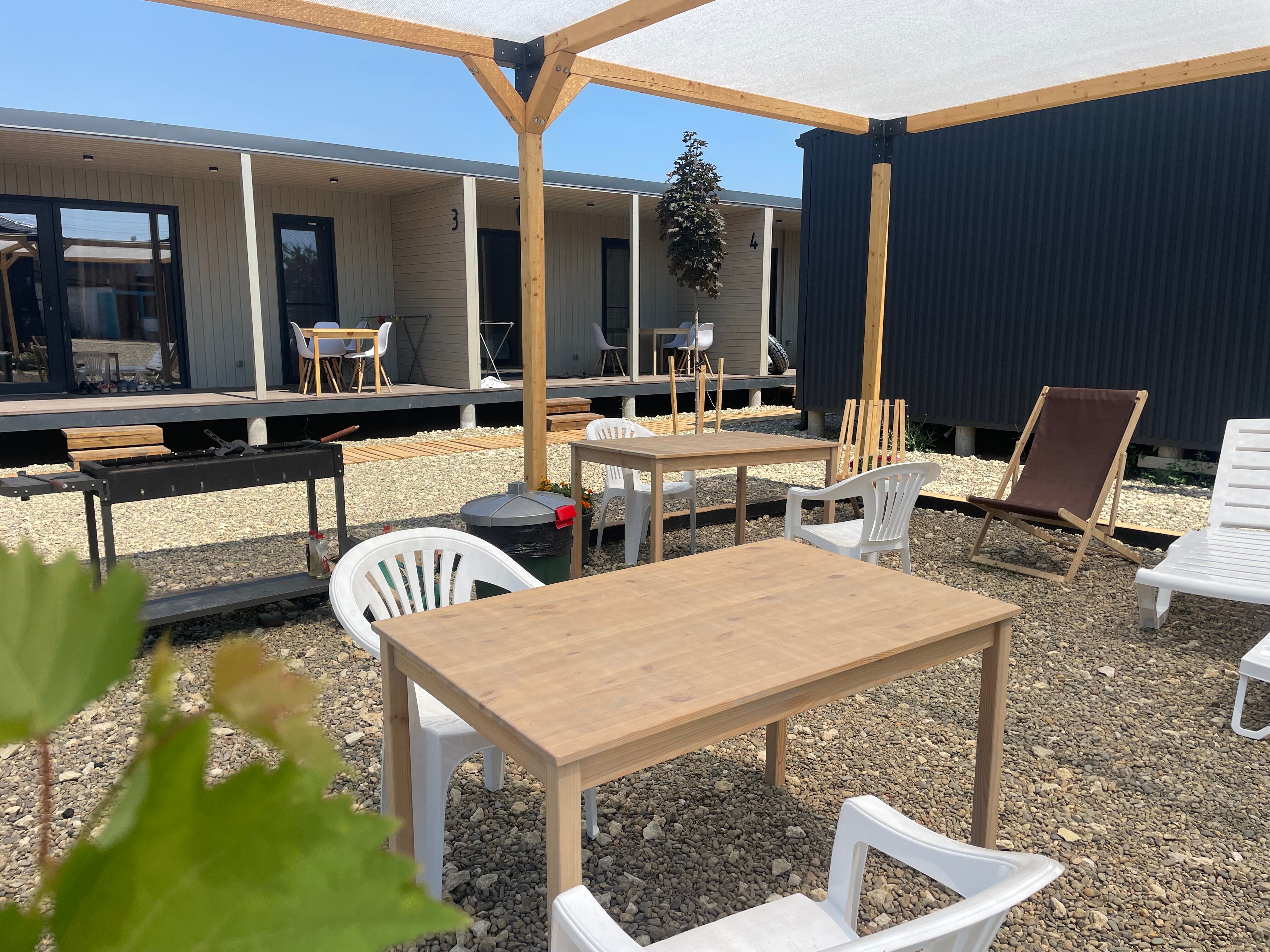 Фото Клевер