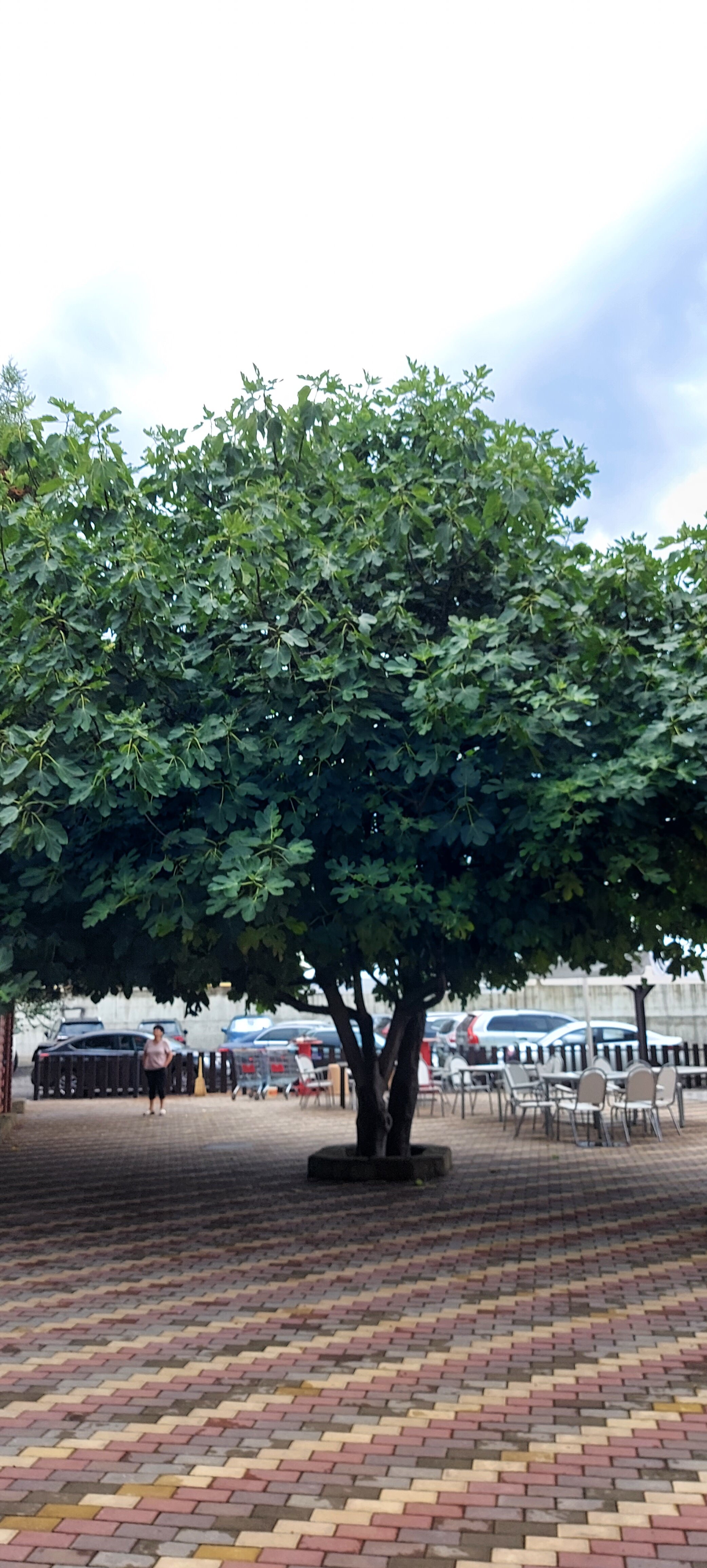 Фото Пик Сезона