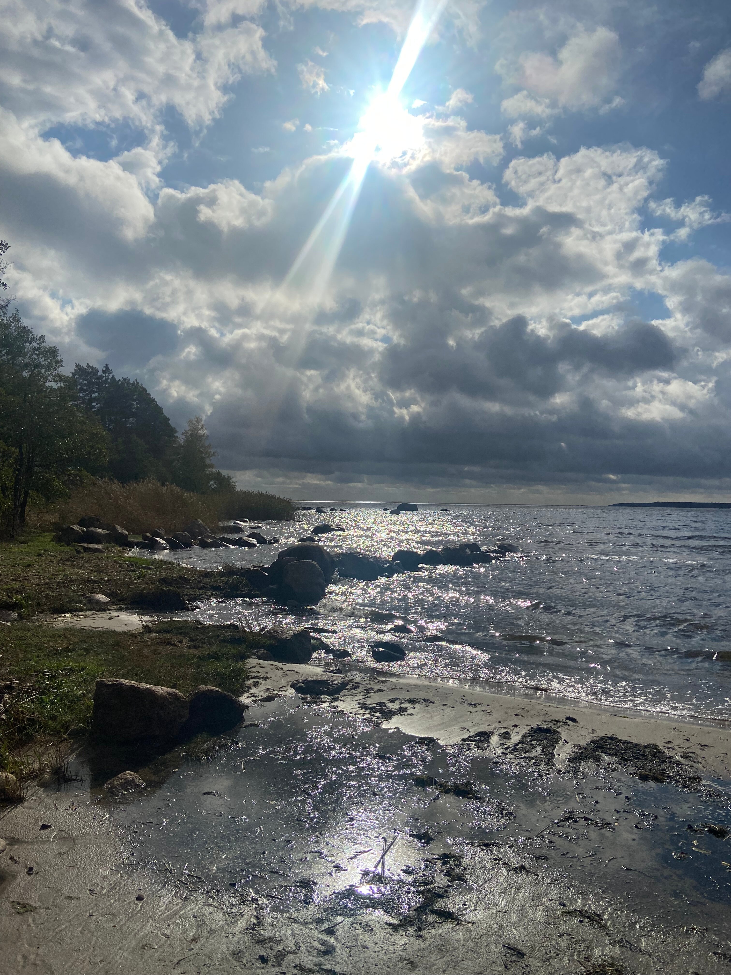 Фото Заречье