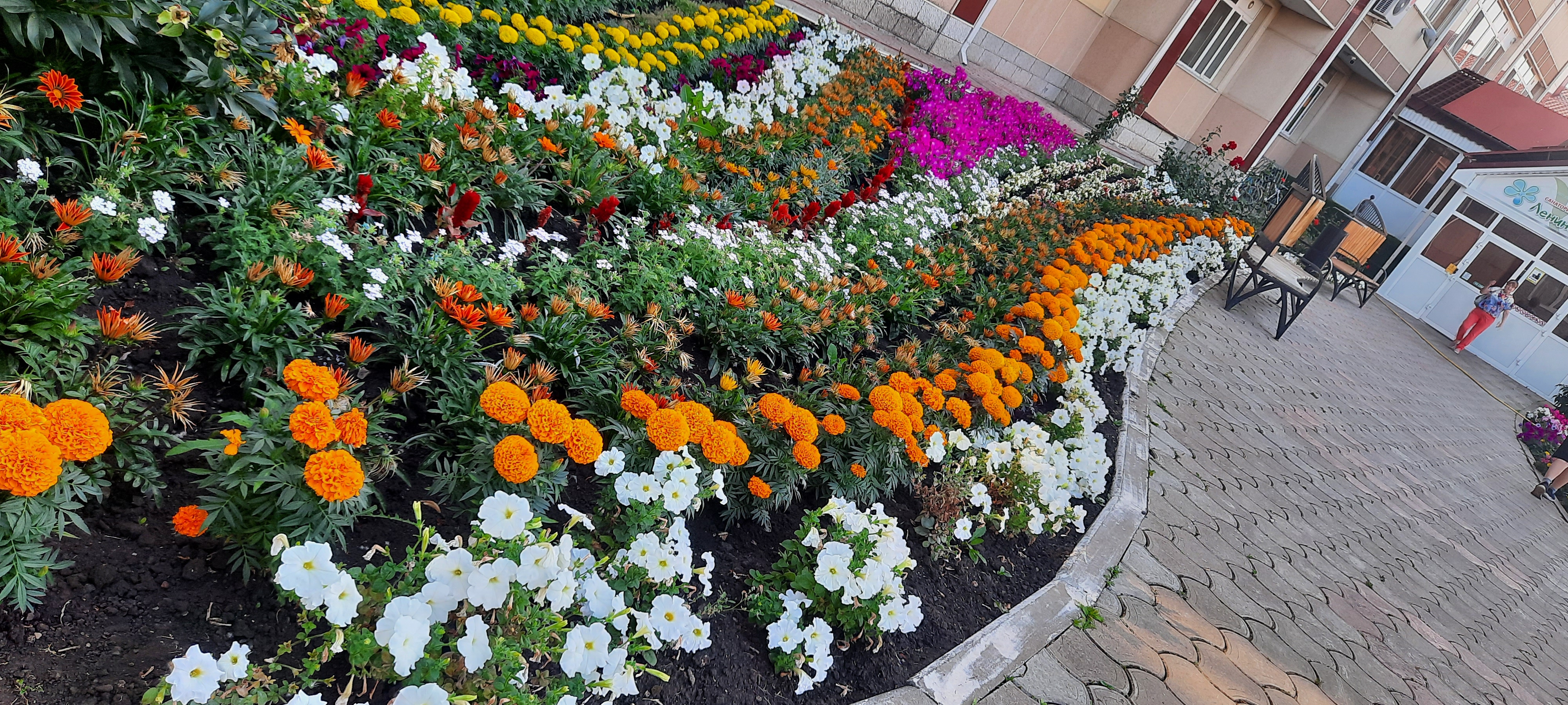 Фото Лениногорский