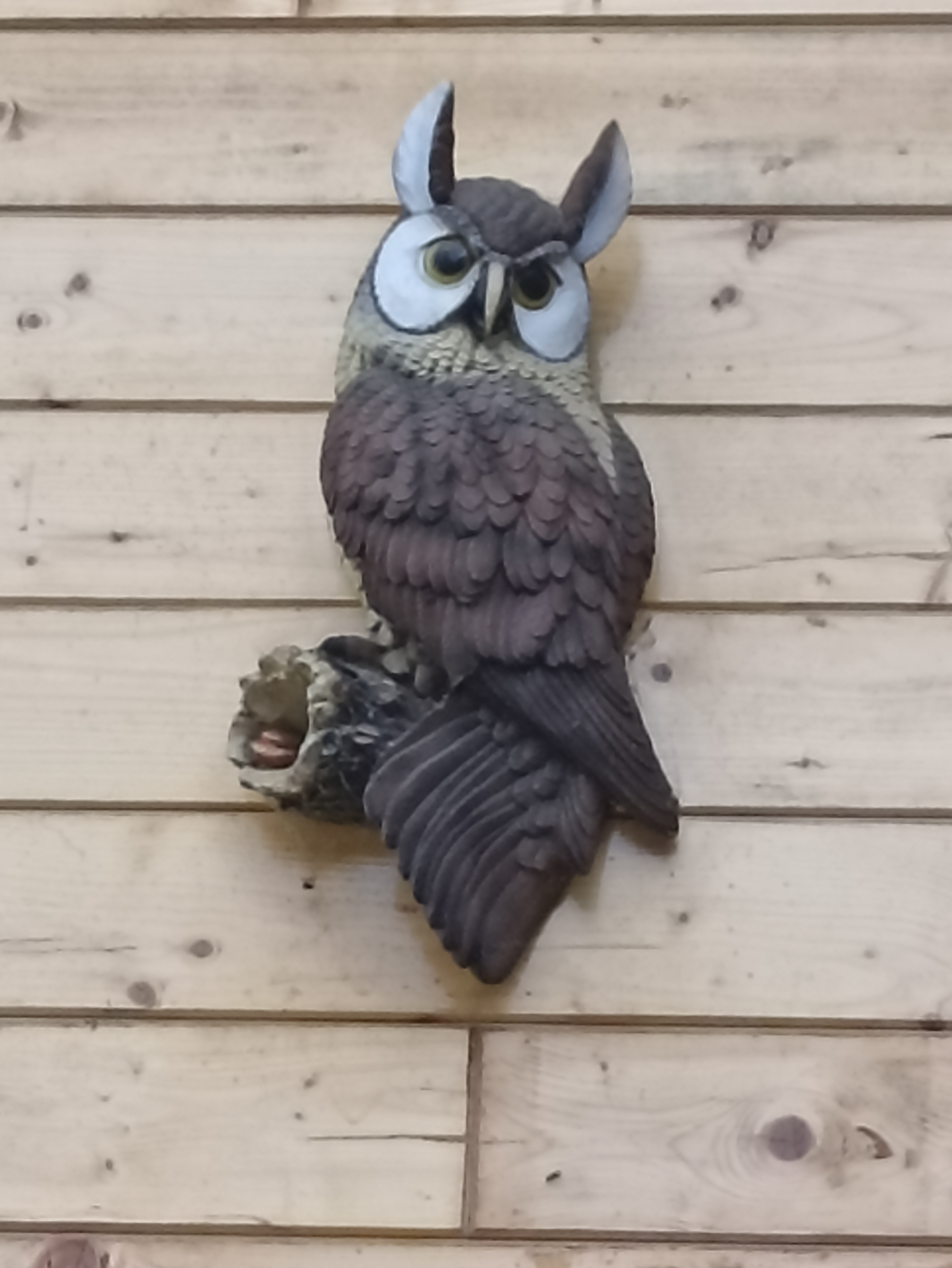 Фото Дом Совы