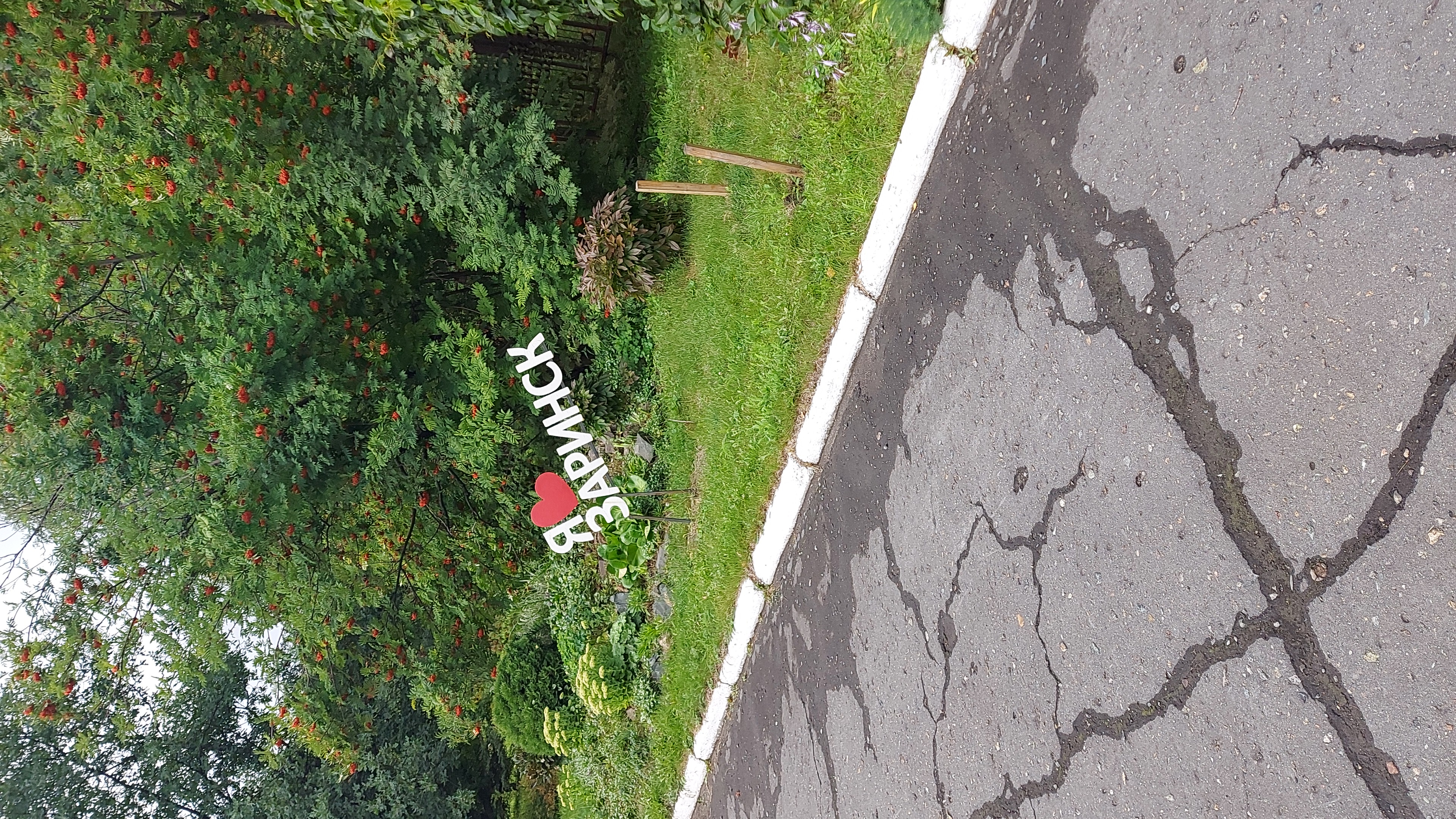 Фото Бодрость