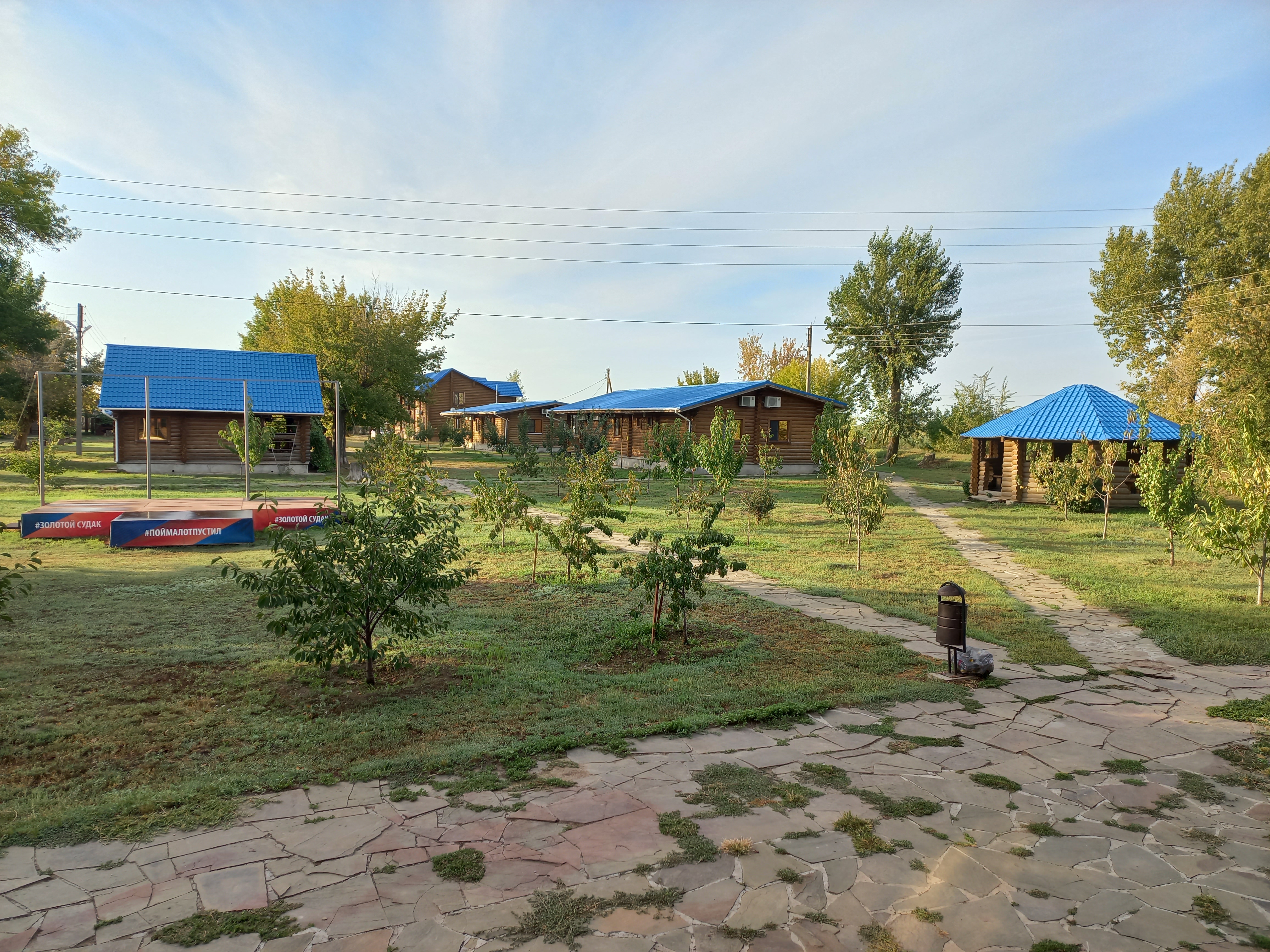 Фото Синяя птица